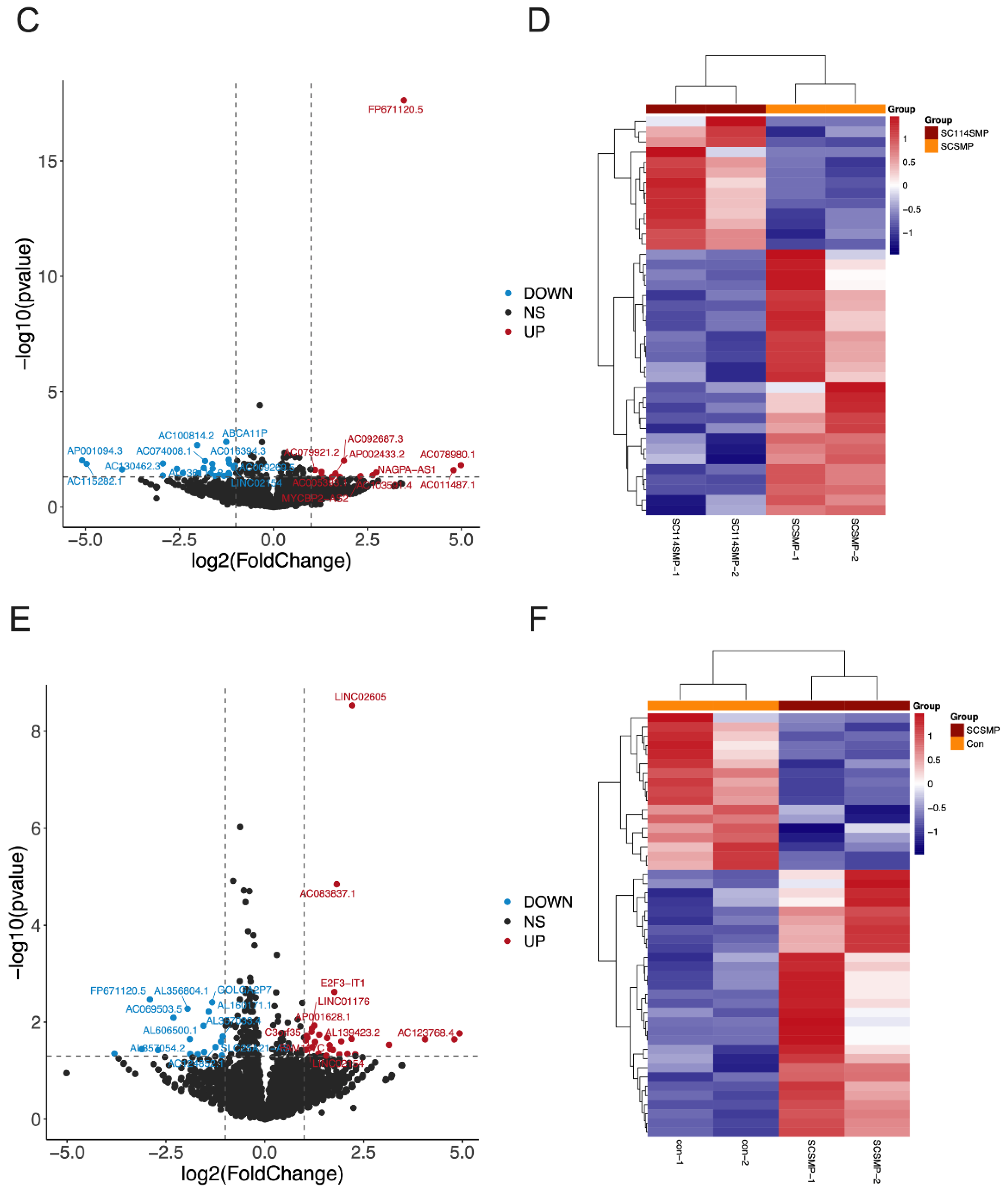 Cancers 14 06132 g005b Cancers 14 06132 g005b