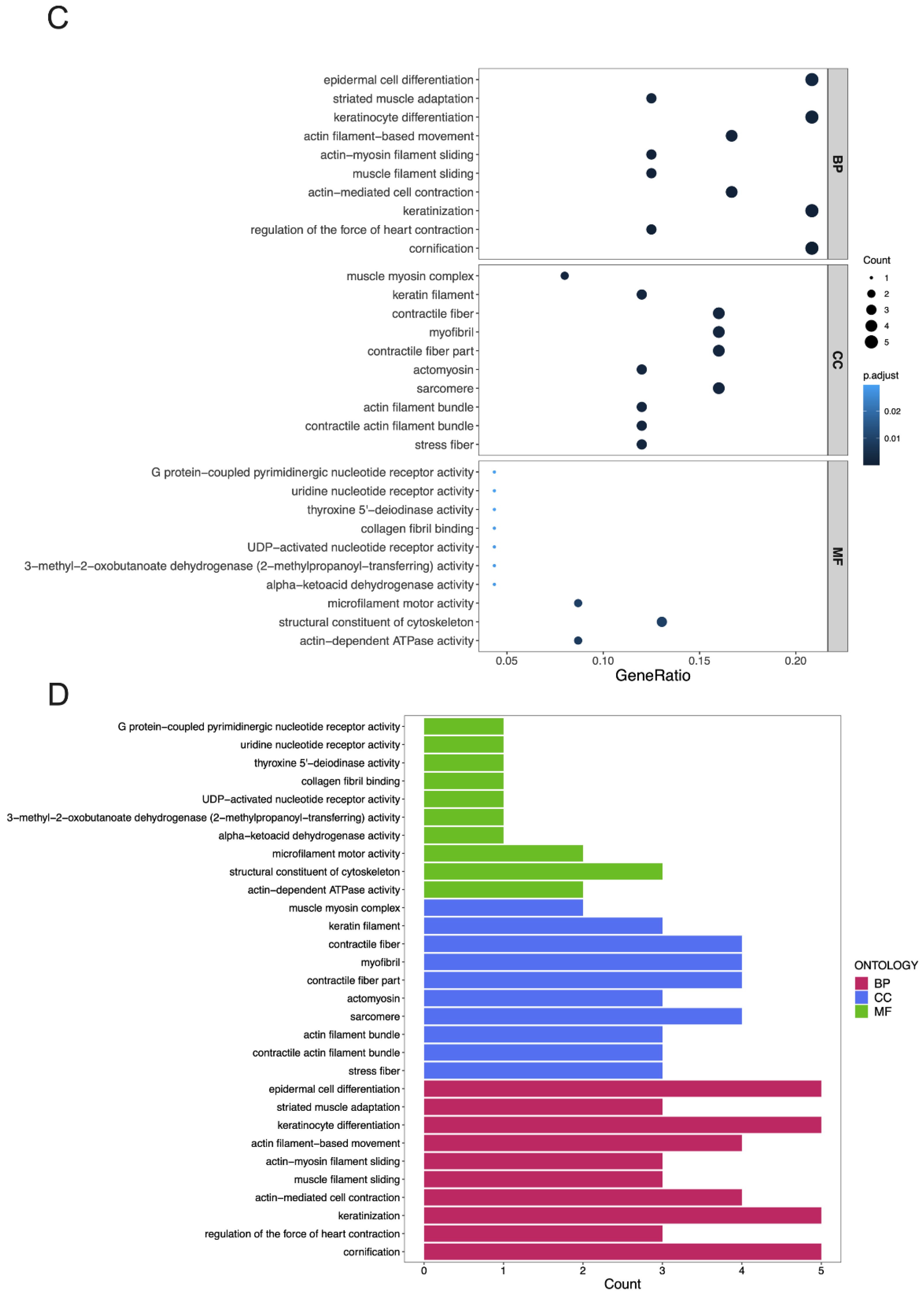Cancers 14 06132 g006b Cancers 14 06132 g006b