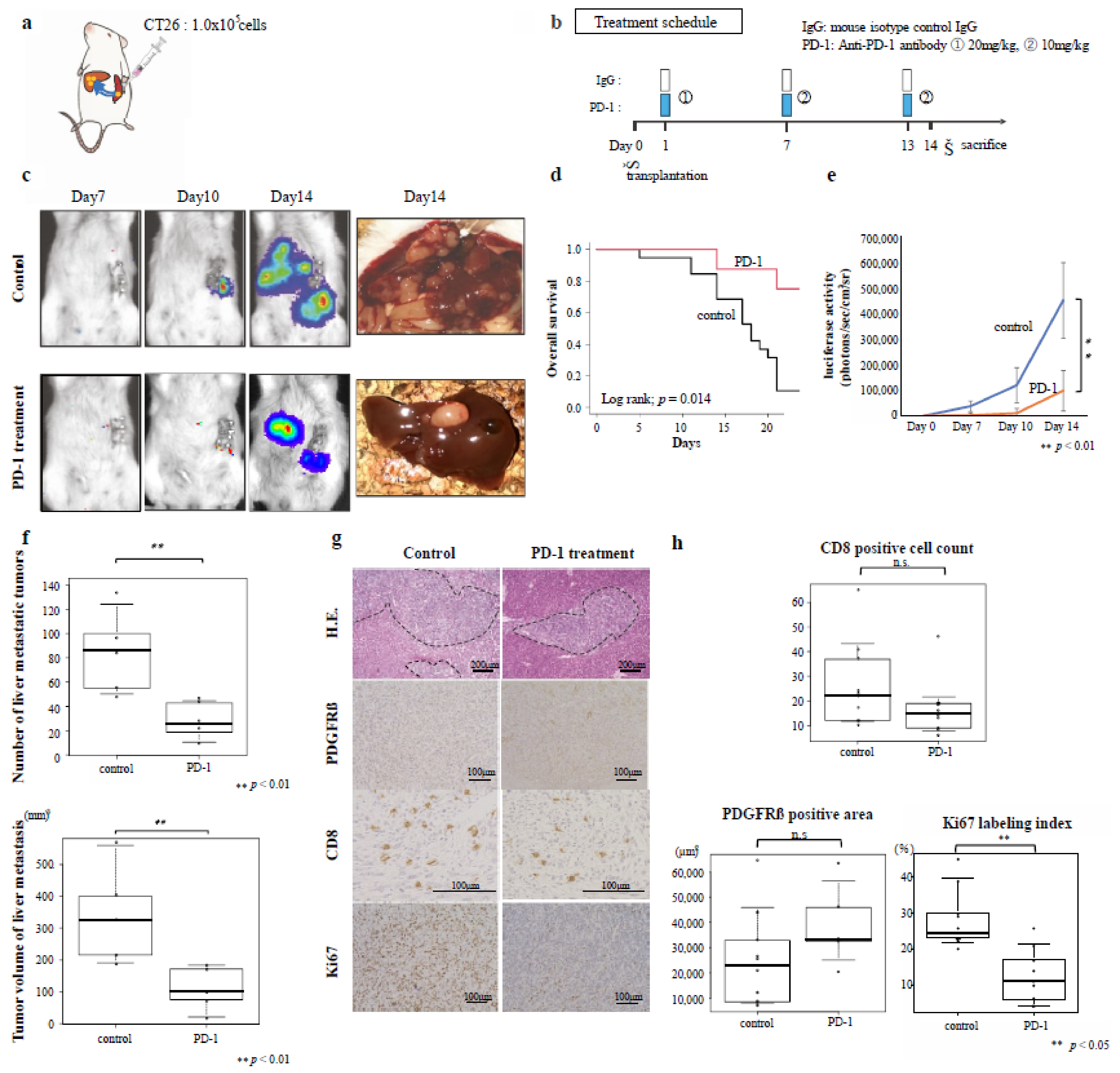 Cancers 14 06146 g002 Cancers 14 06146 g002