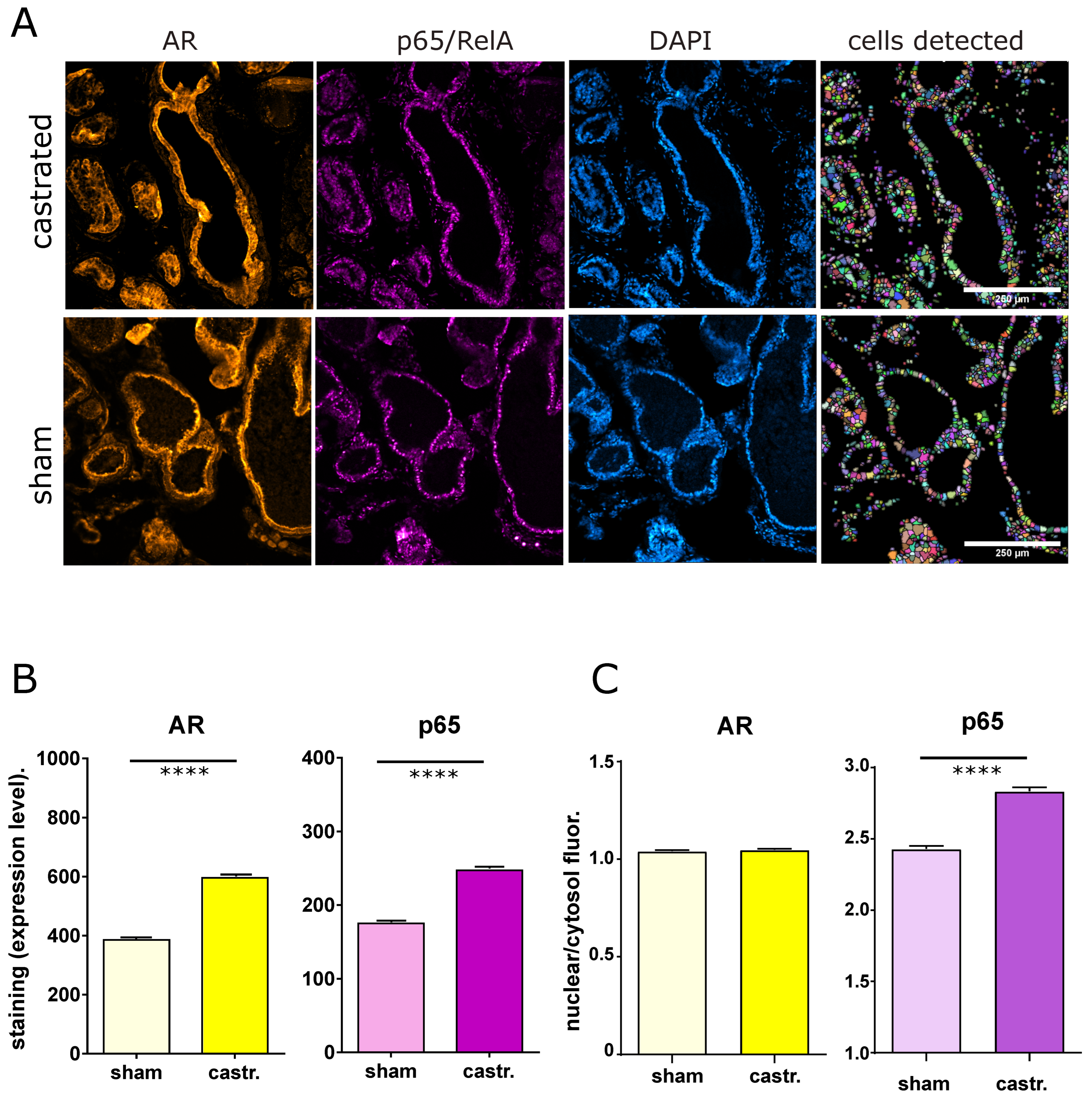 Cancers 14 06164 g005 Cancers 14 06164 g005