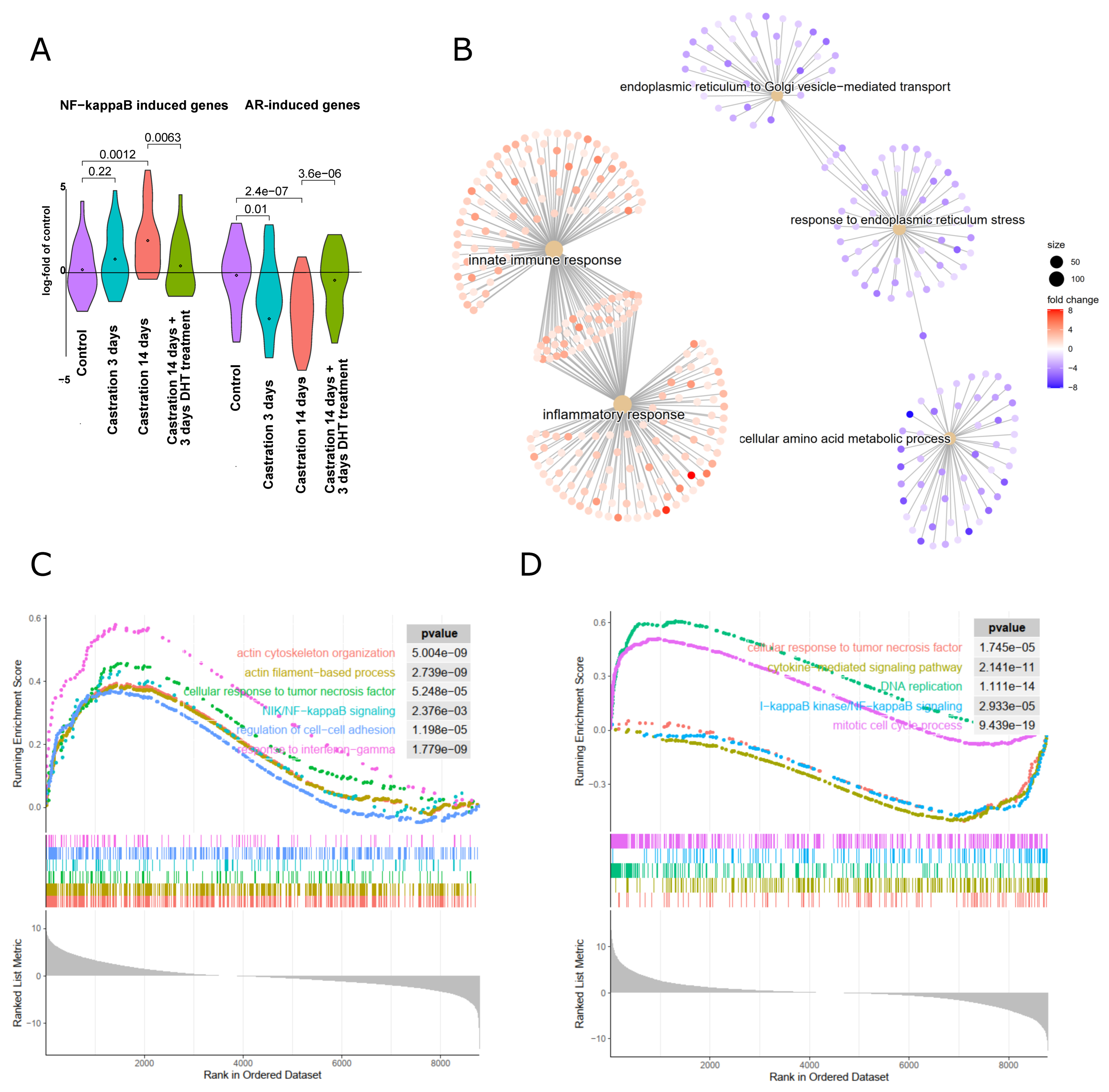 Cancers 14 06164 g006 Cancers 14 06164 g006