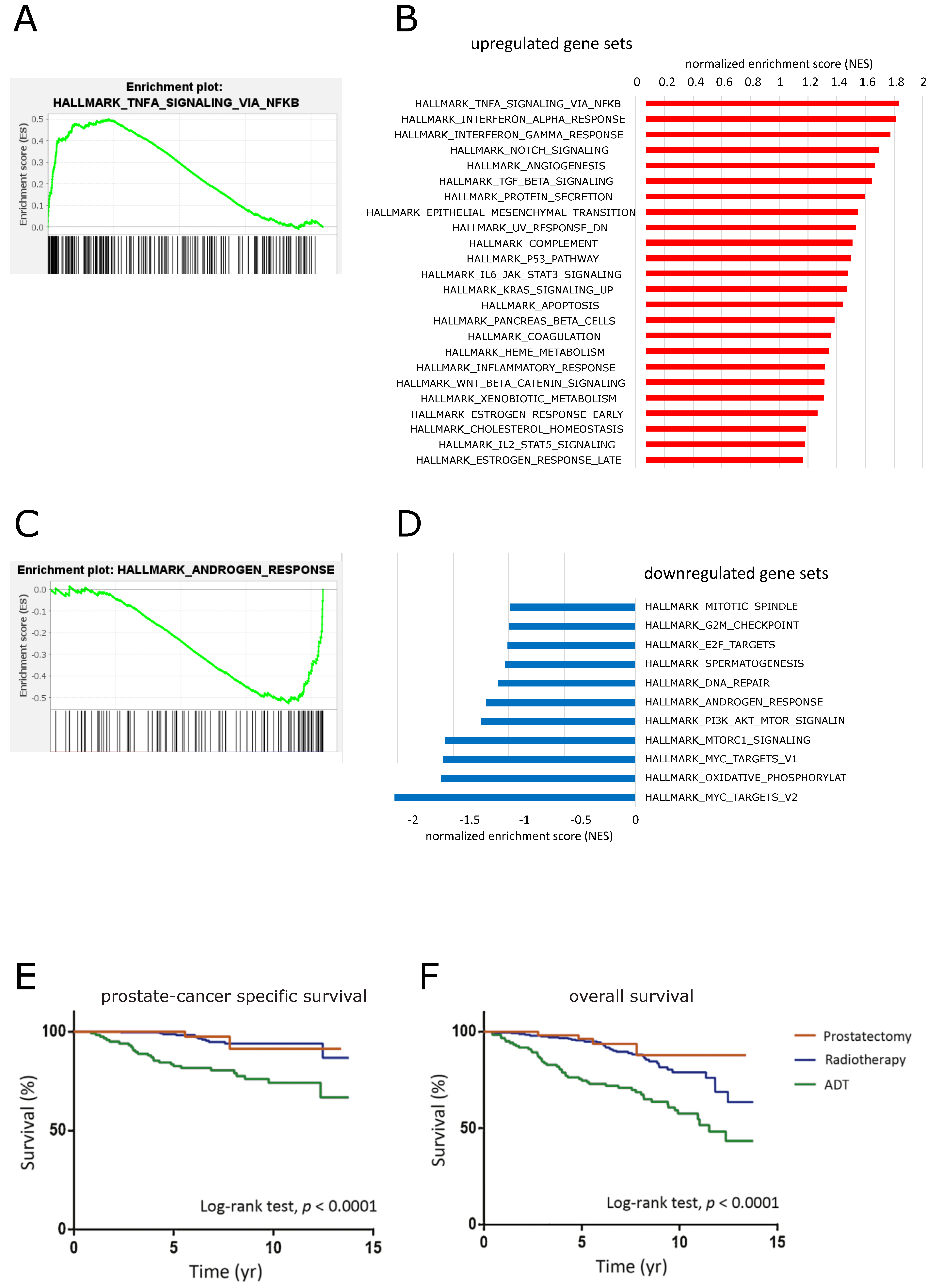 Cancers 14 06164 g007 Cancers 14 06164 g007