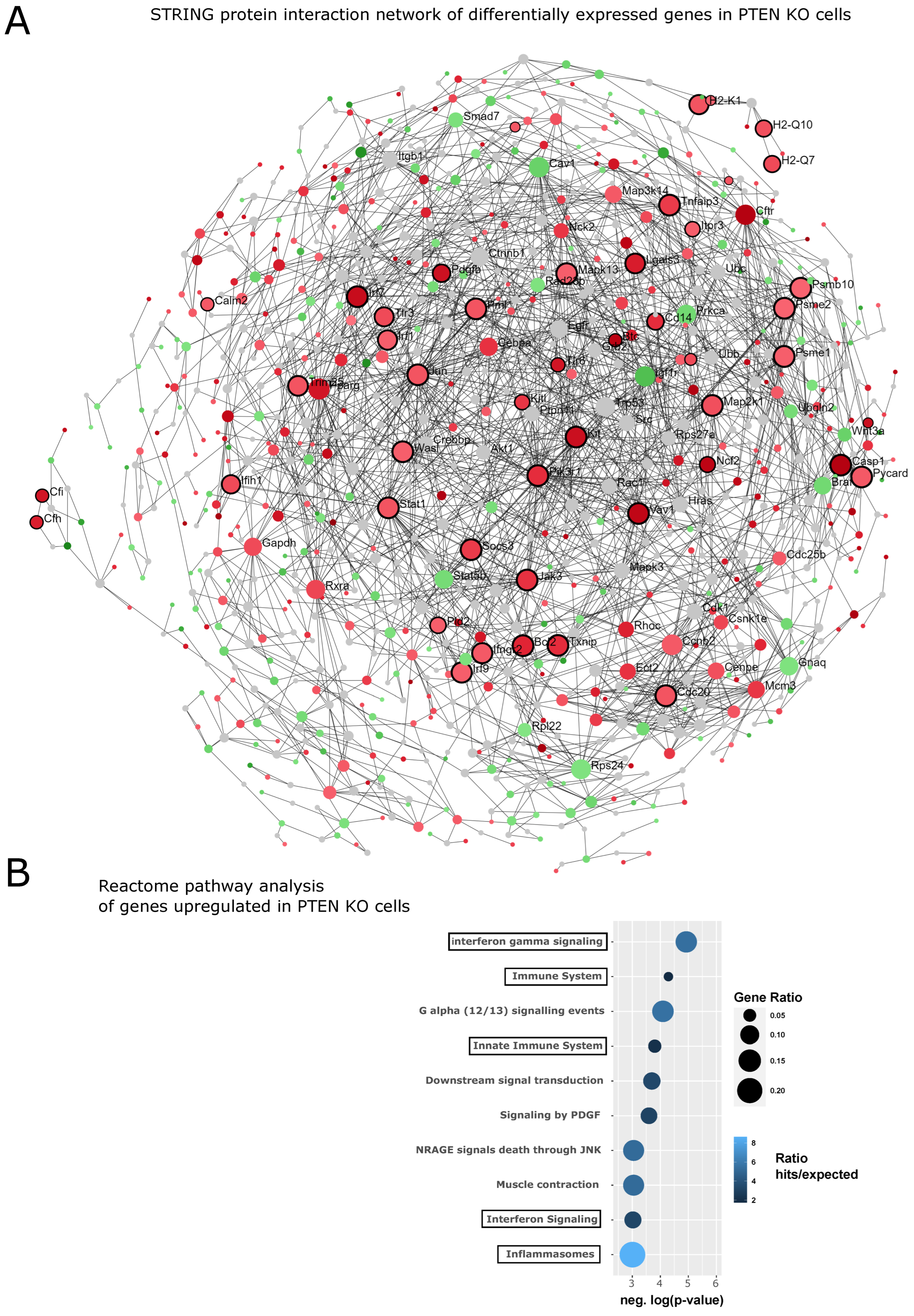 Cancers 14 06164 g008 Cancers 14 06164 g008