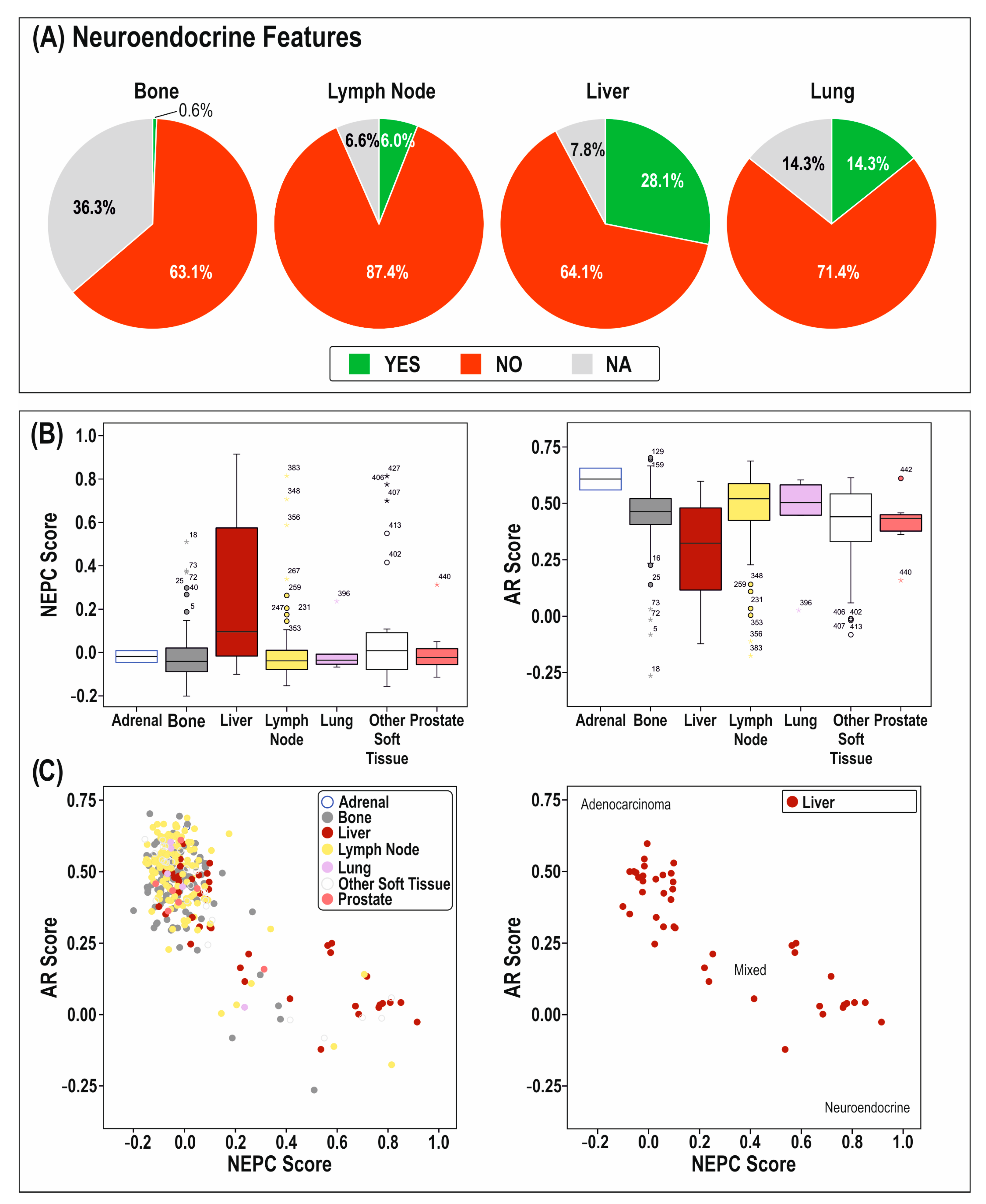 Cancers 14 06189 g002 Cancers 14 06189 g002