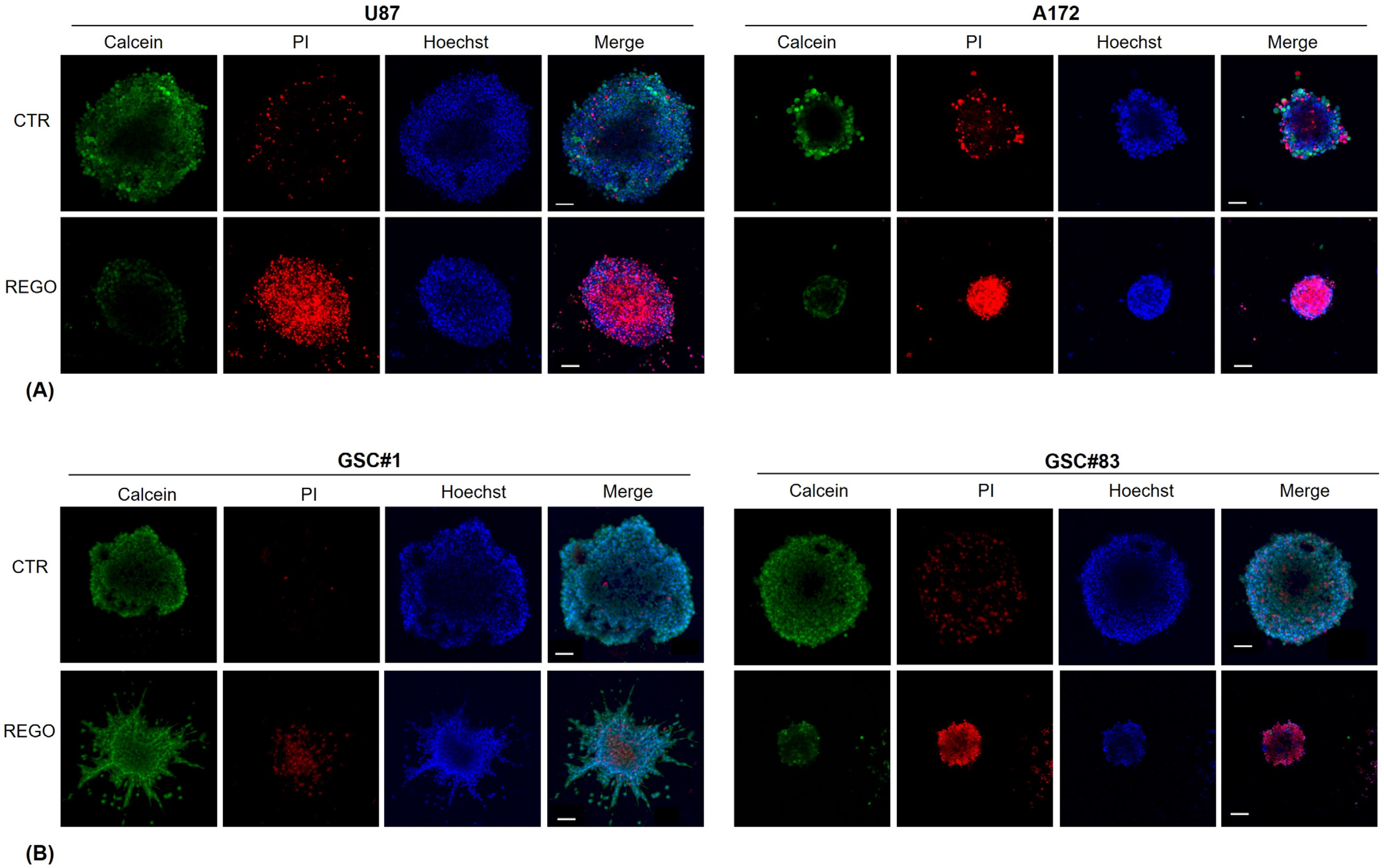 Cancers 14 06193 g008 Cancers 14 06193 g008