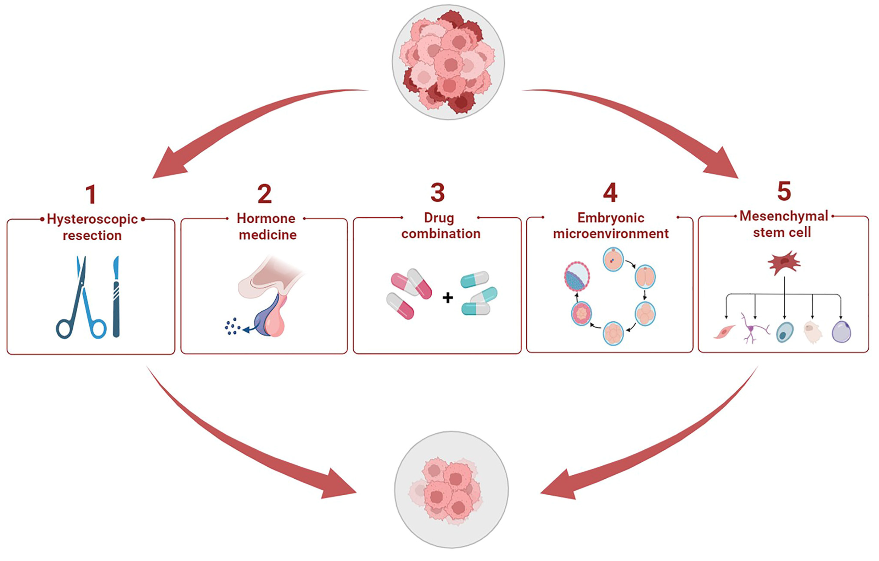 Cancers 14 06210 g005