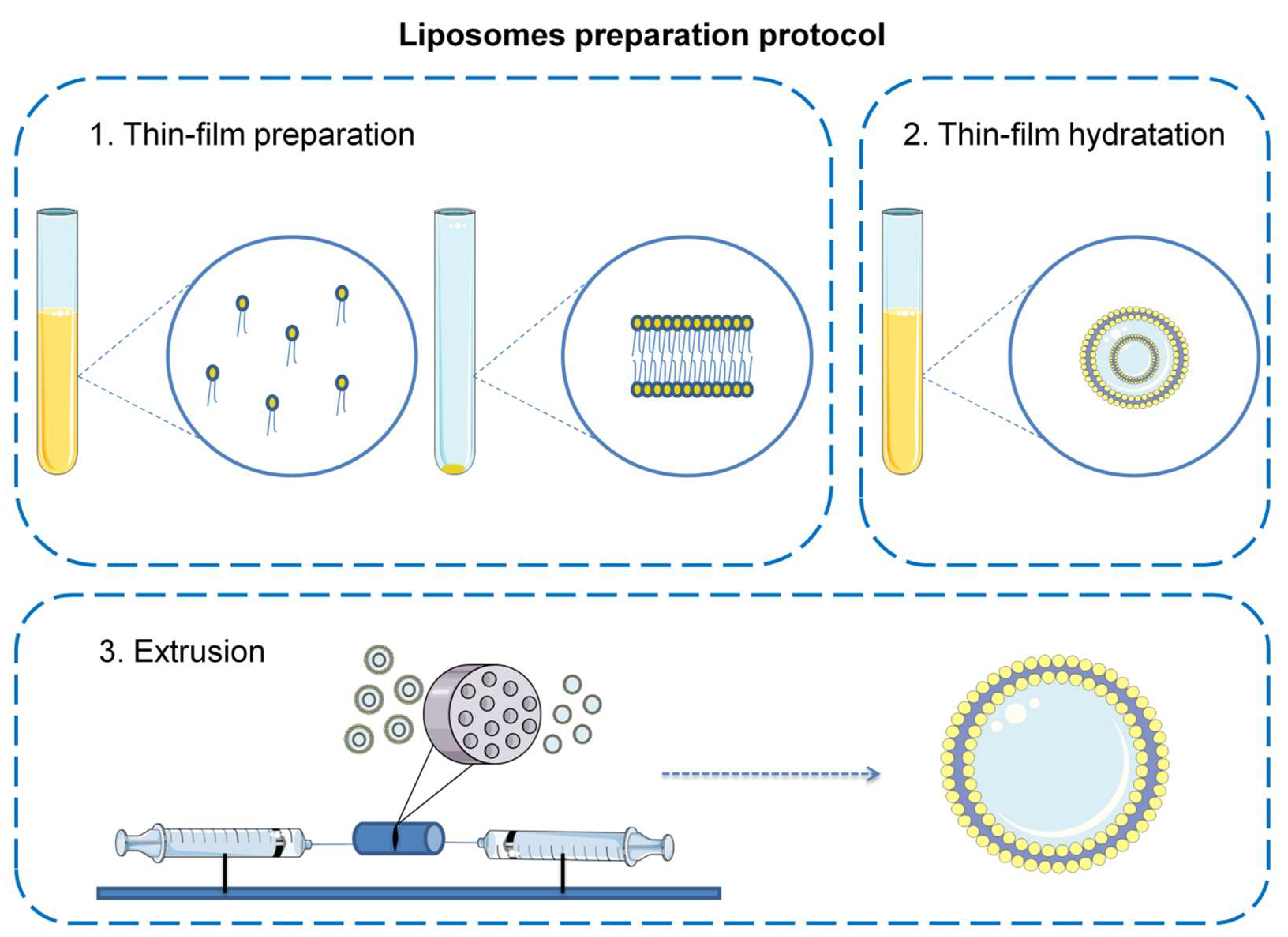 Cancers 14 06222 g003