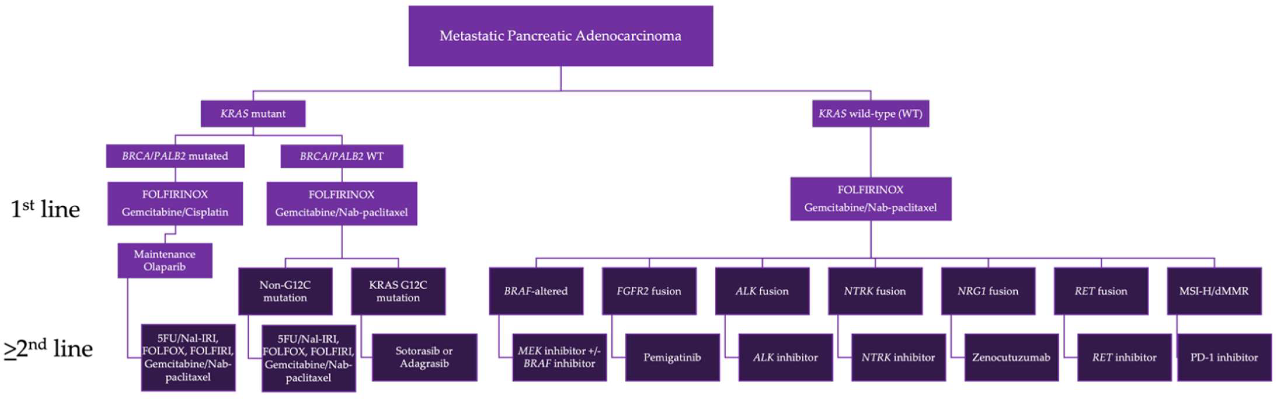 Cancers 14 06223 g002 Cancers 14 06223 g002