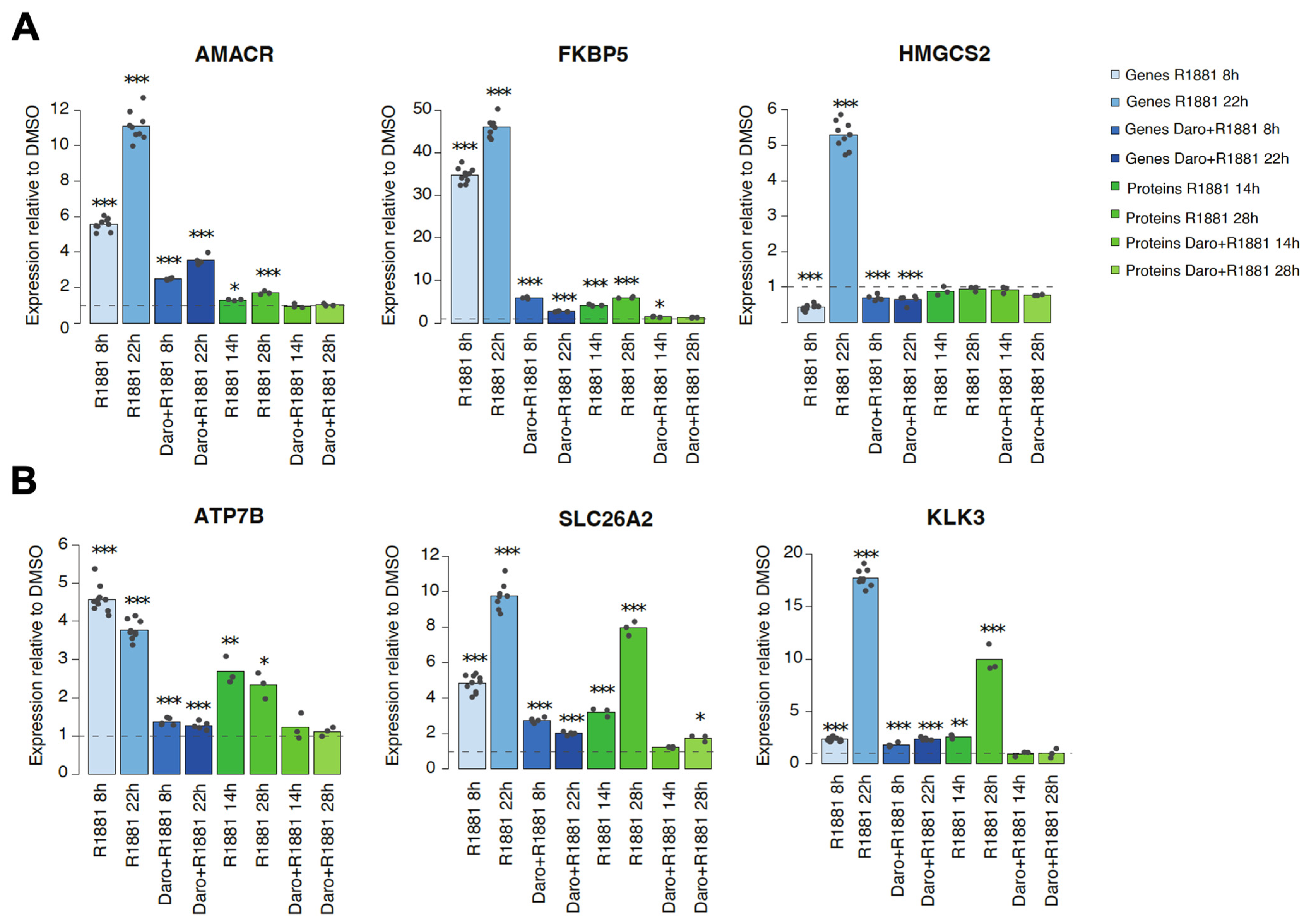 Cancers 15 00002 g005 Cancers 15 00002 g005