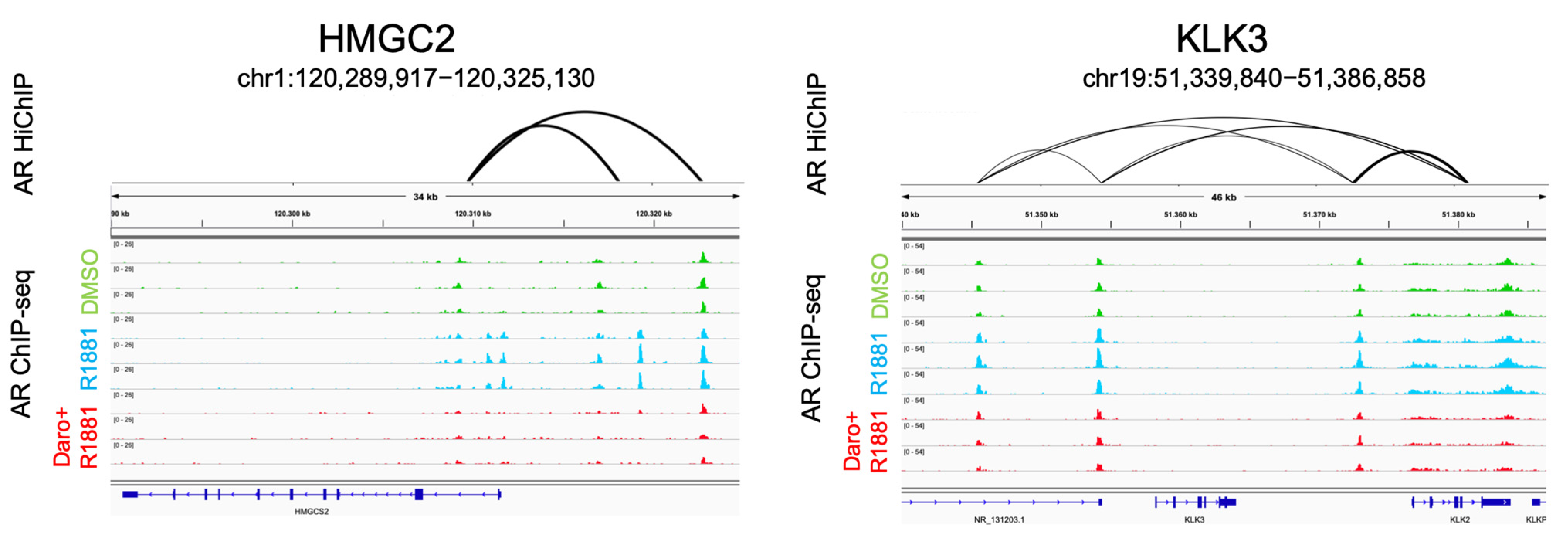 Cancers 15 00002 g006b Cancers 15 00002 g006b