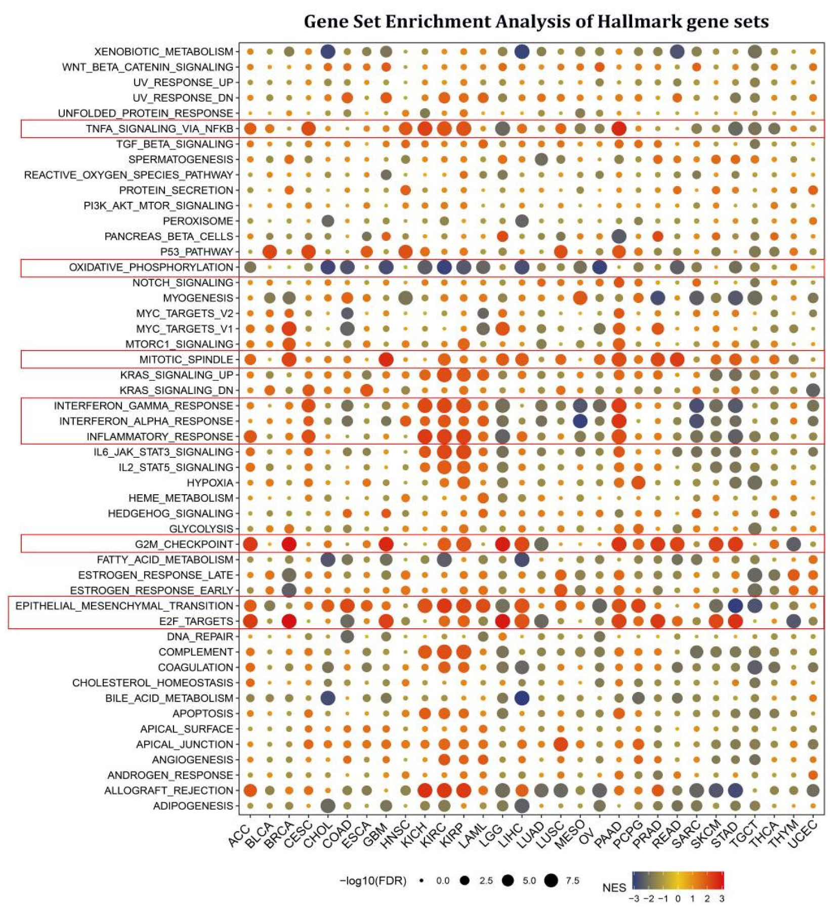 Cancers 15 00027 g003 Cancers 15 00027 g003