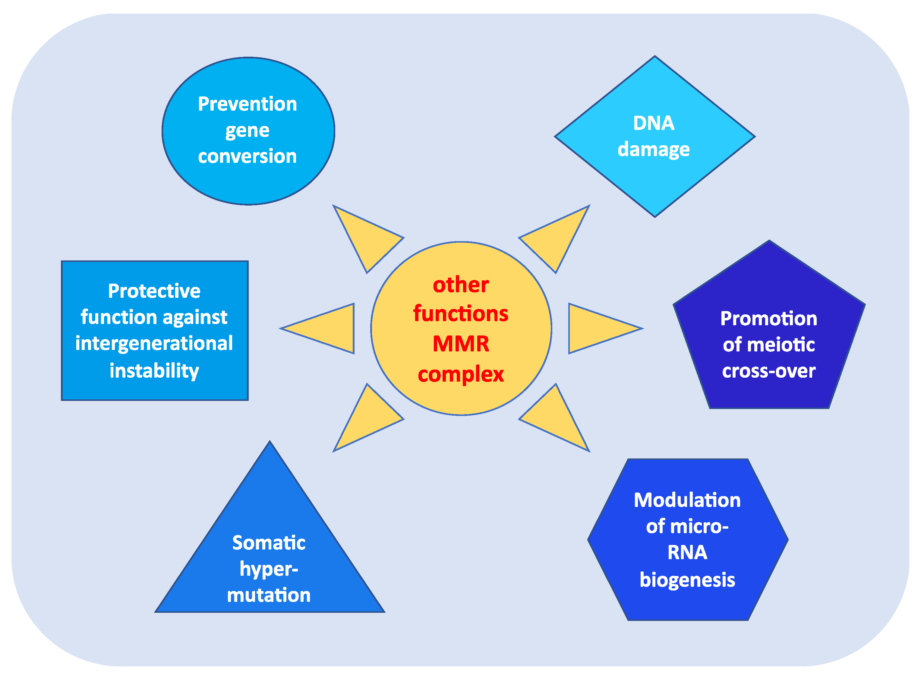 Cancers 15 00075 g002
