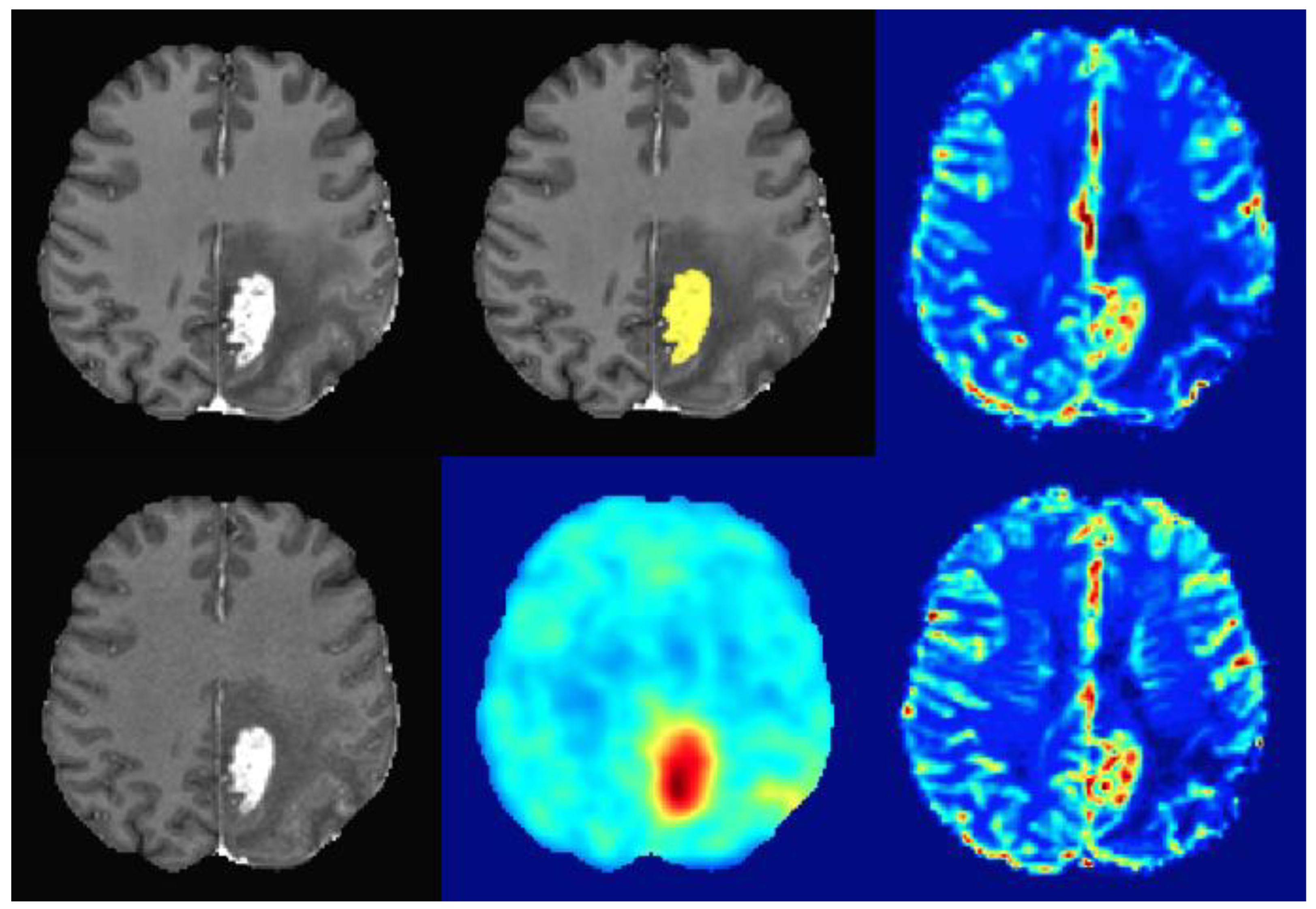 Cancers 15 00083 g001