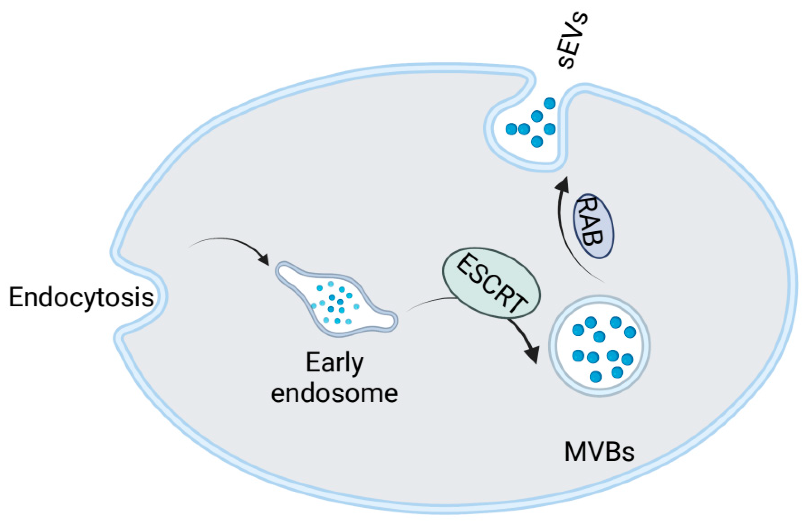 Cancers 15 00100 g001