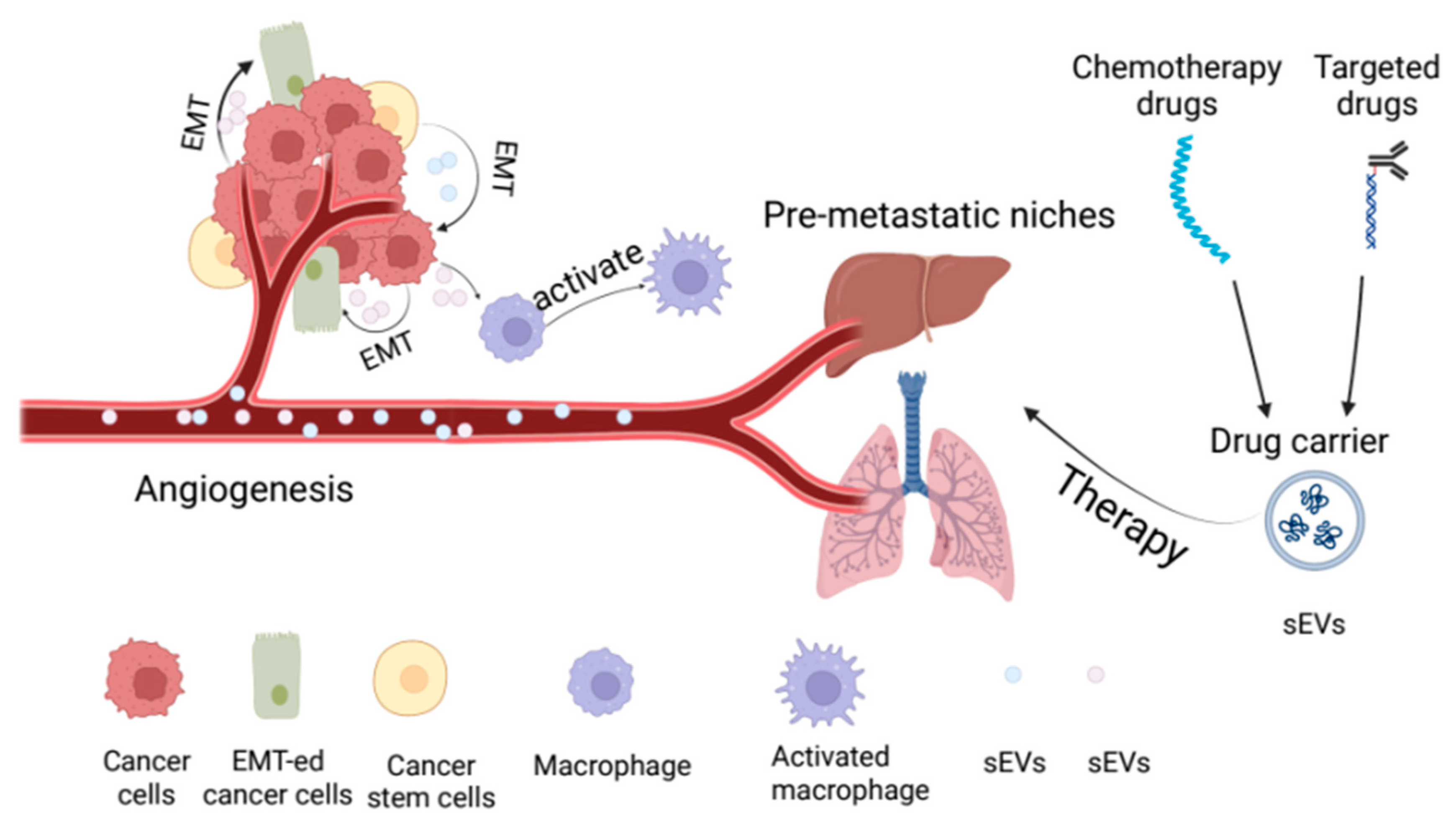 Cancers 15 00100 g002