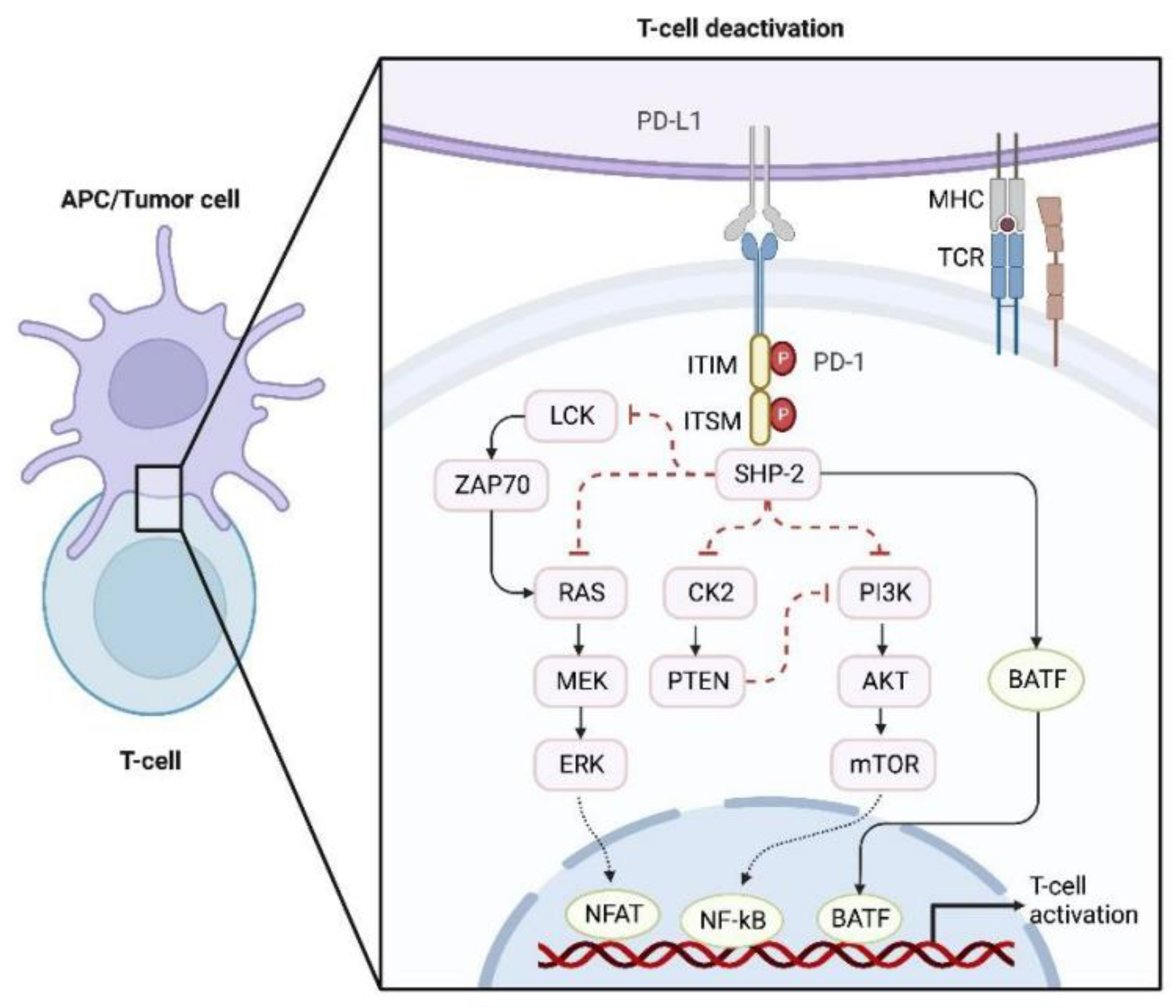 Cancers Free Full Text Mechanisms And Strategies To Overcome Pd 1