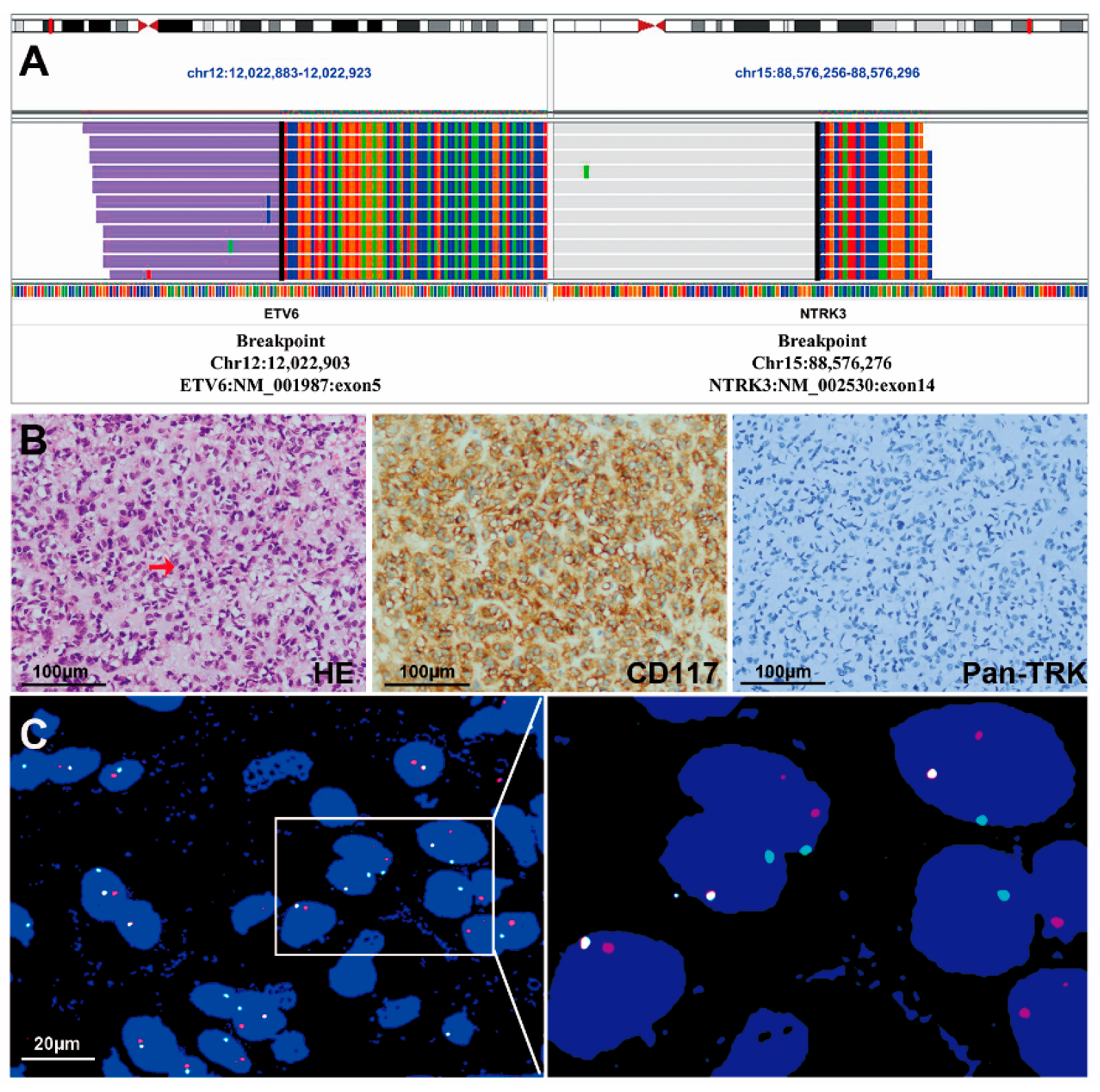 Cancers 15 00105 g003