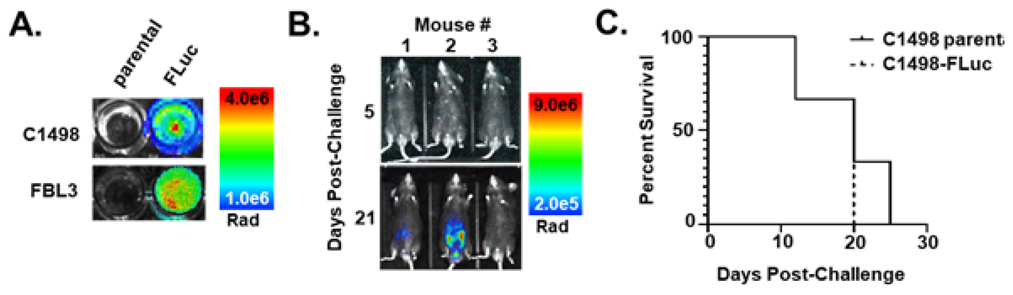 Cancers 15 00118 g001 Cancers 15 00118 g001