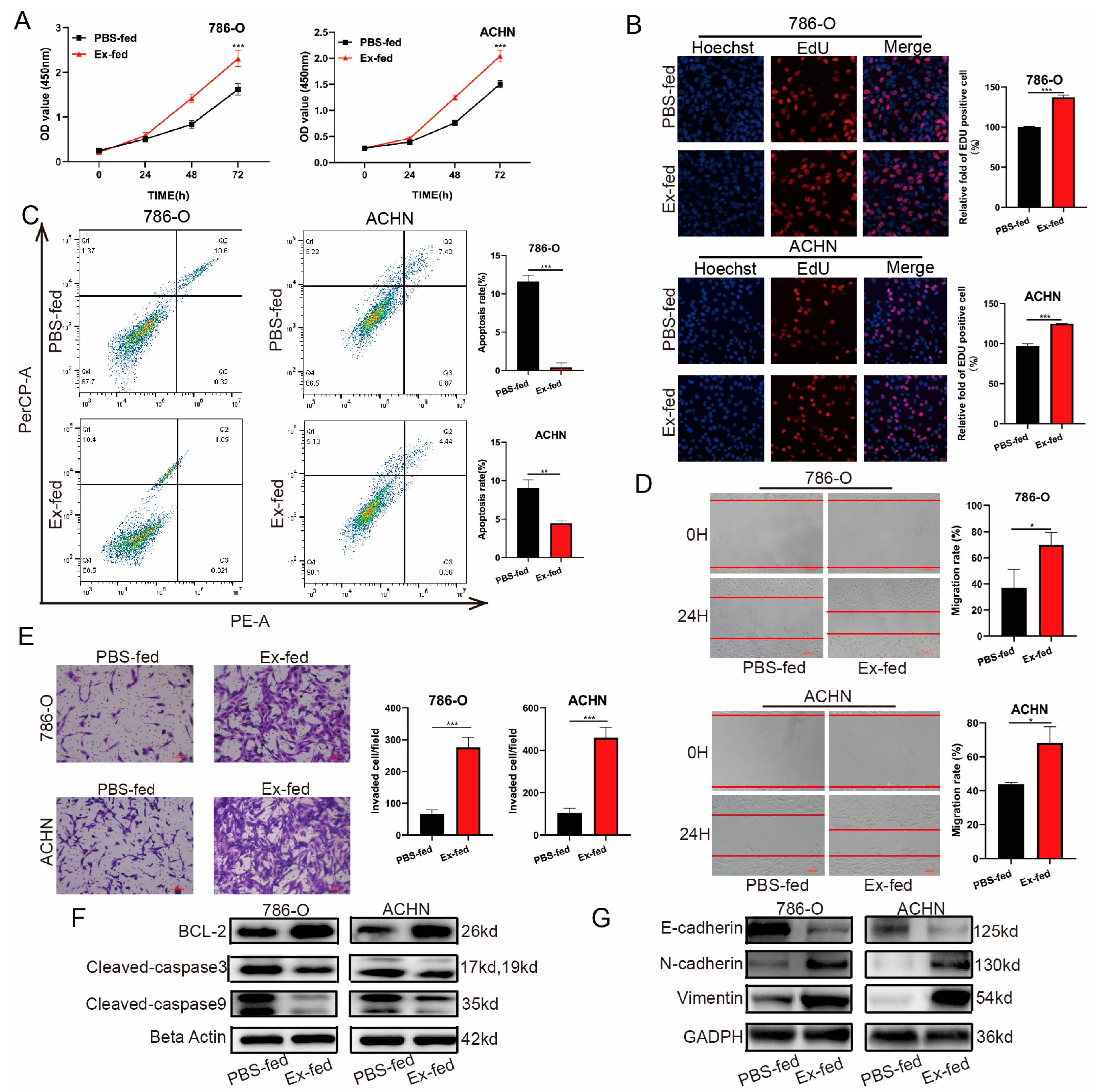 Cancers 15 00123 g003 Cancers 15 00123 g003