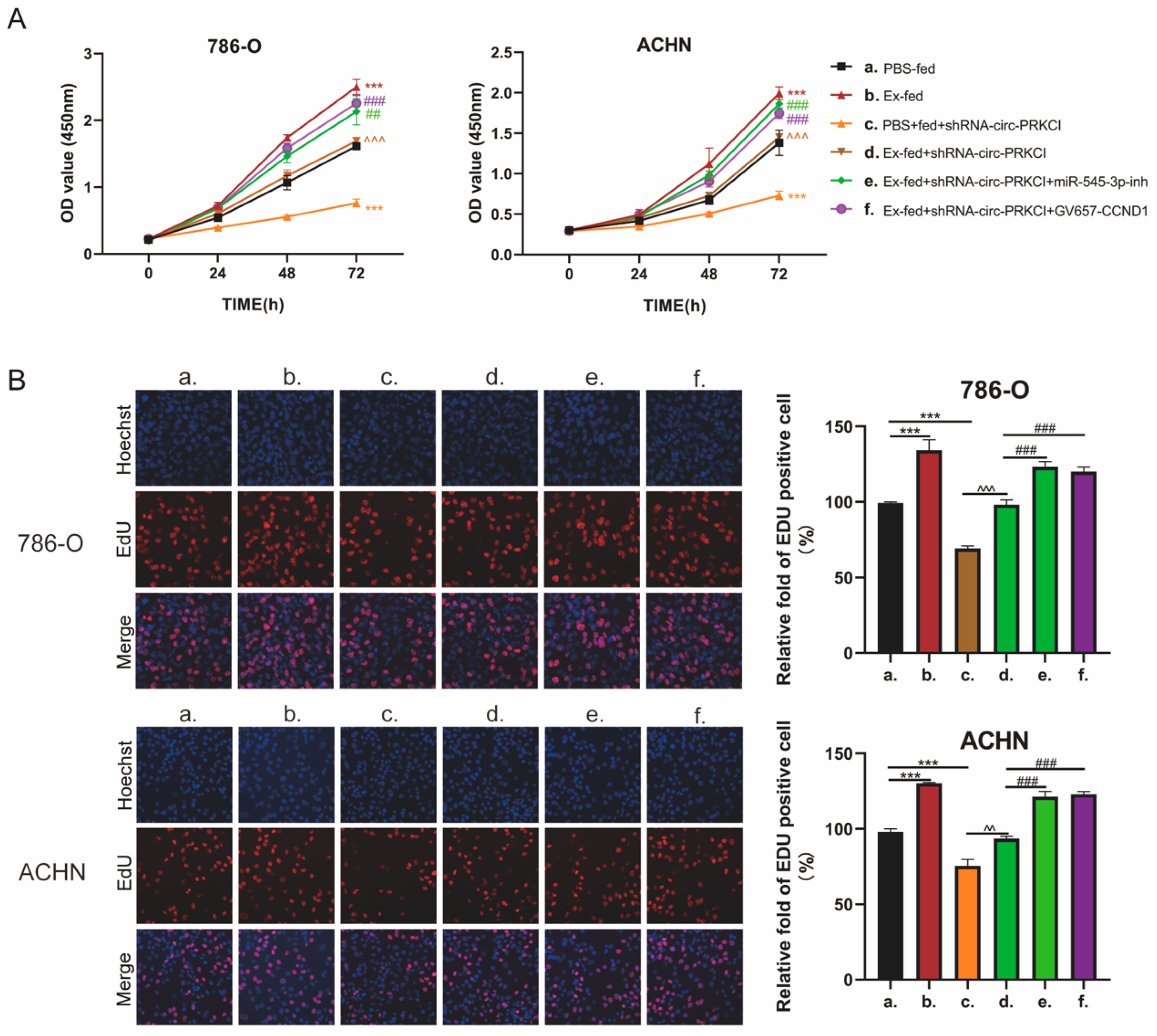Cancers 15 00123 g007 Cancers 15 00123 g007