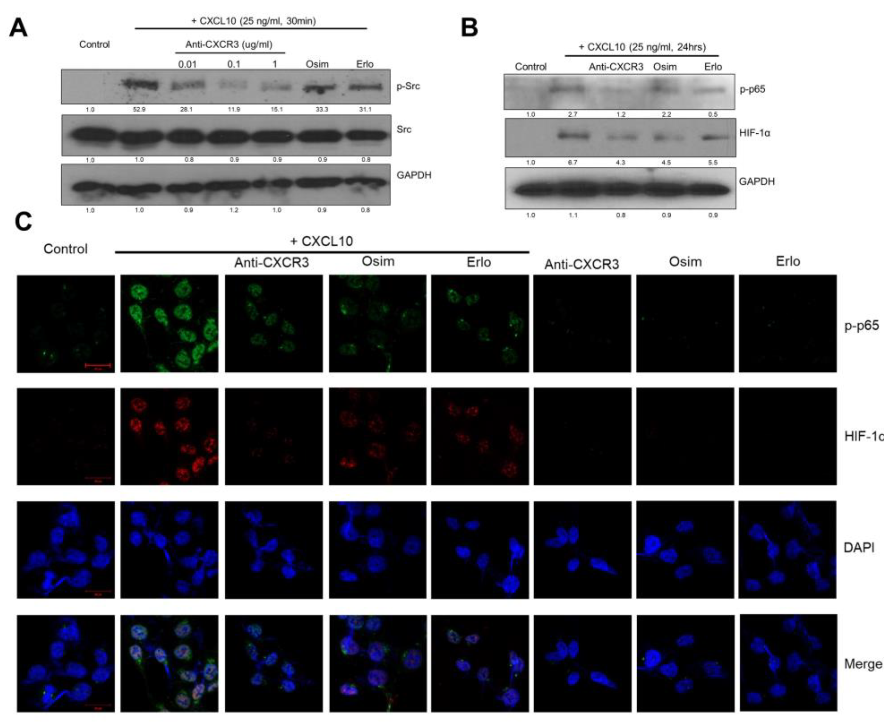 Cancers 15 00124 g003 Cancers 15 00124 g003