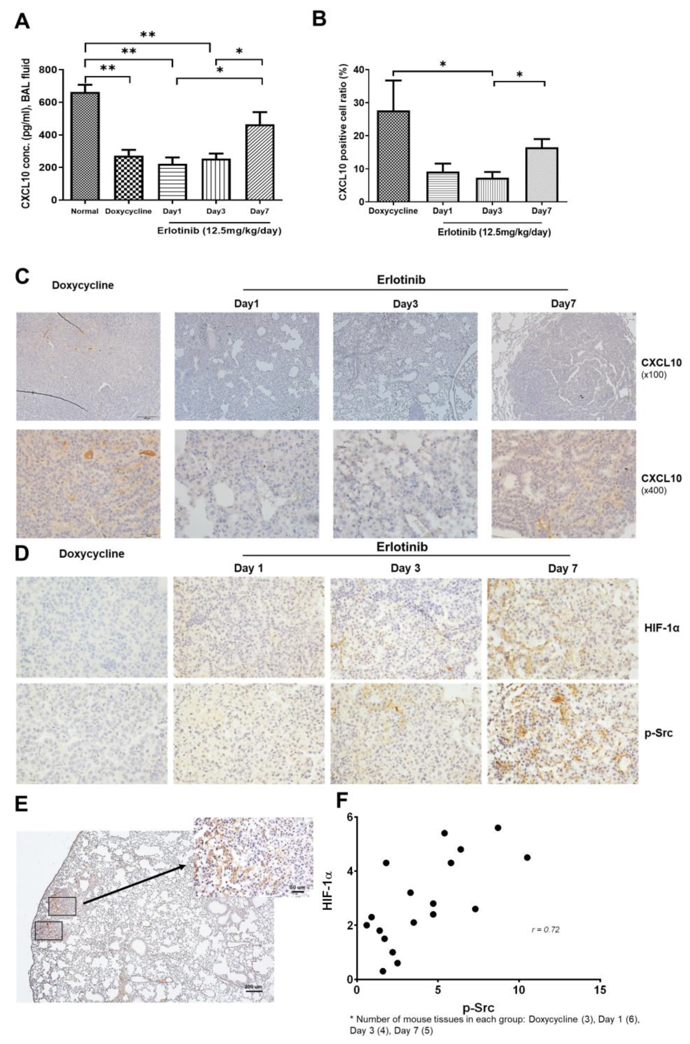 Cancers 15 00124 g005 Cancers 15 00124 g005