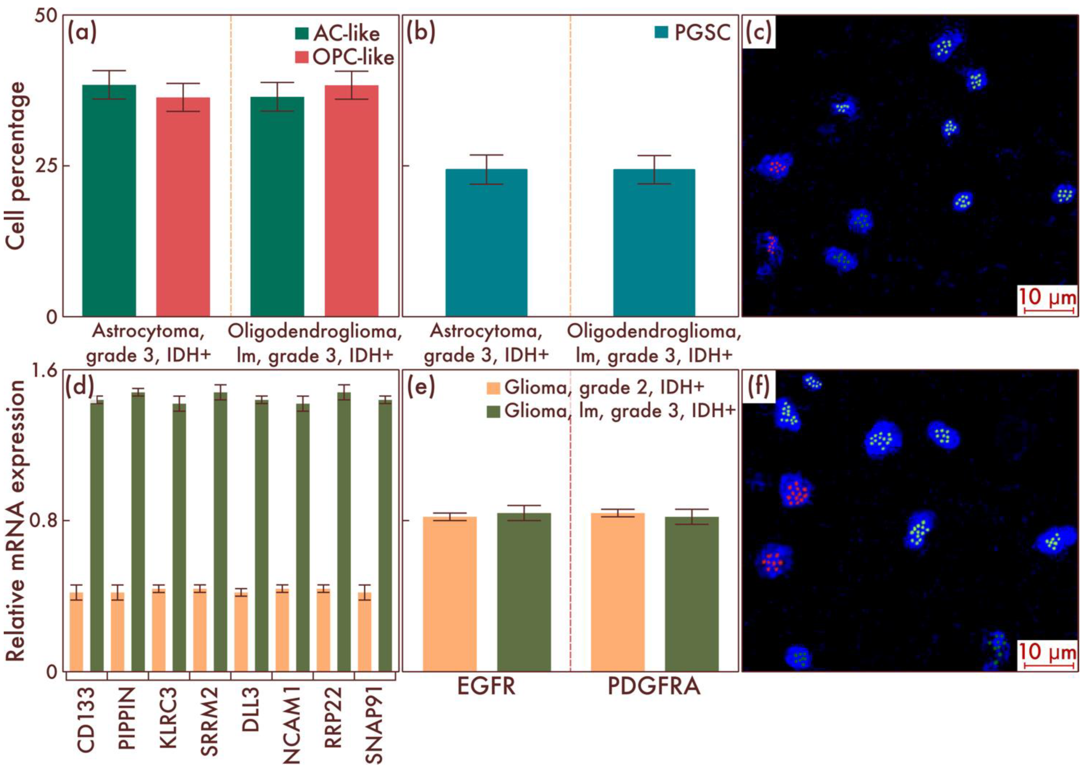 Cancers 15 00145 g002
