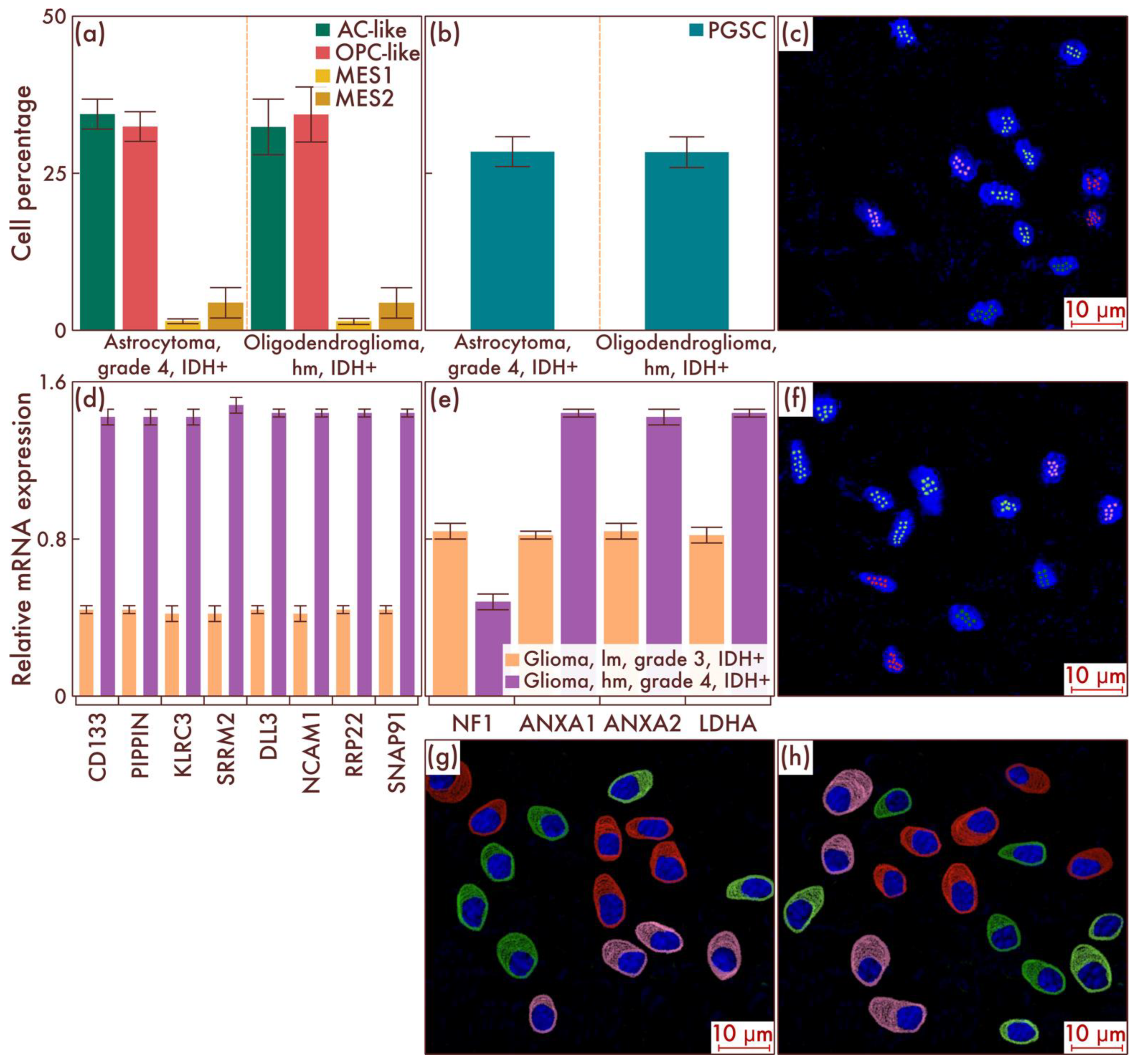 Cancers 15 00145 g003