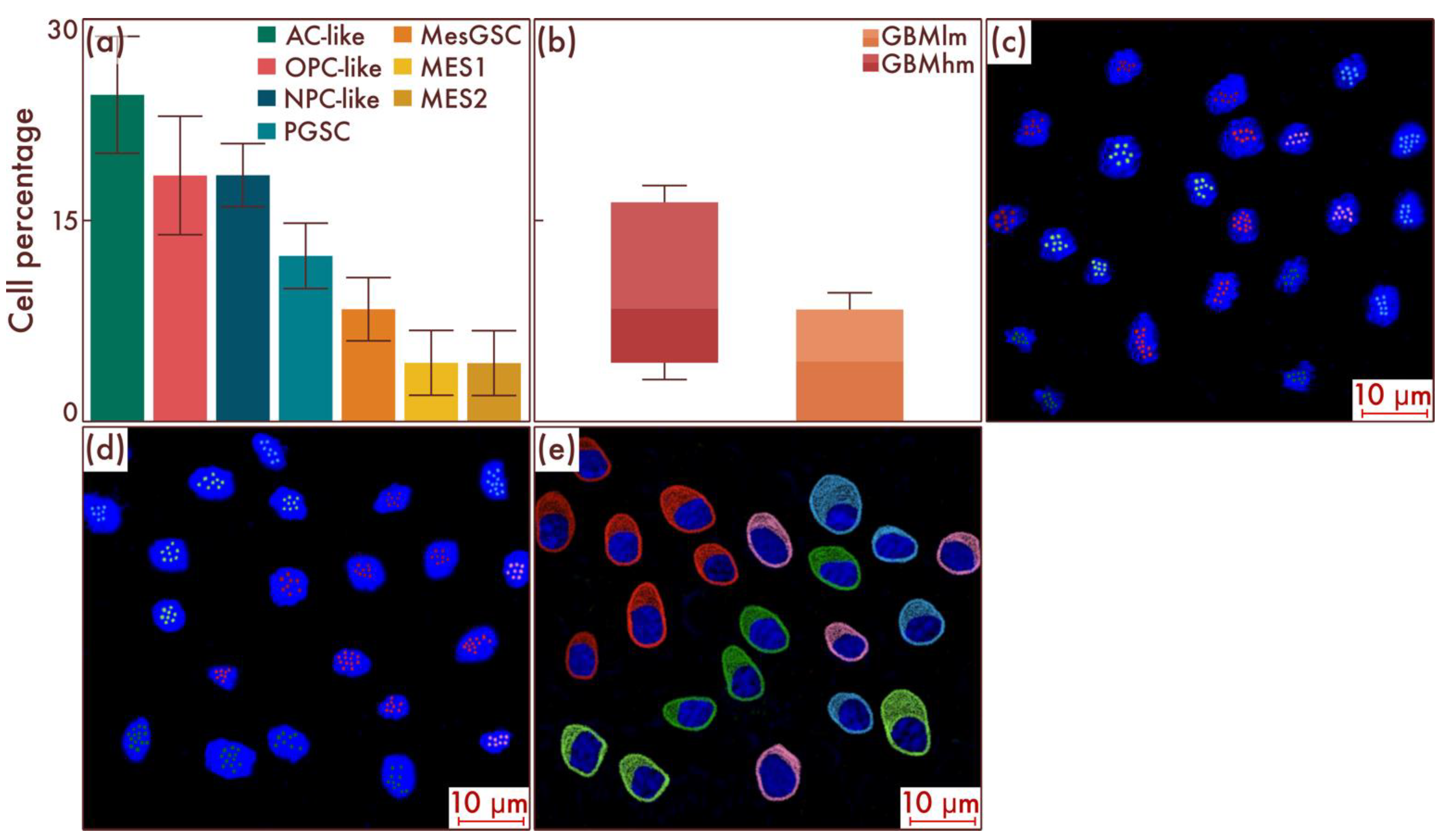 Cancers 15 00145 g006