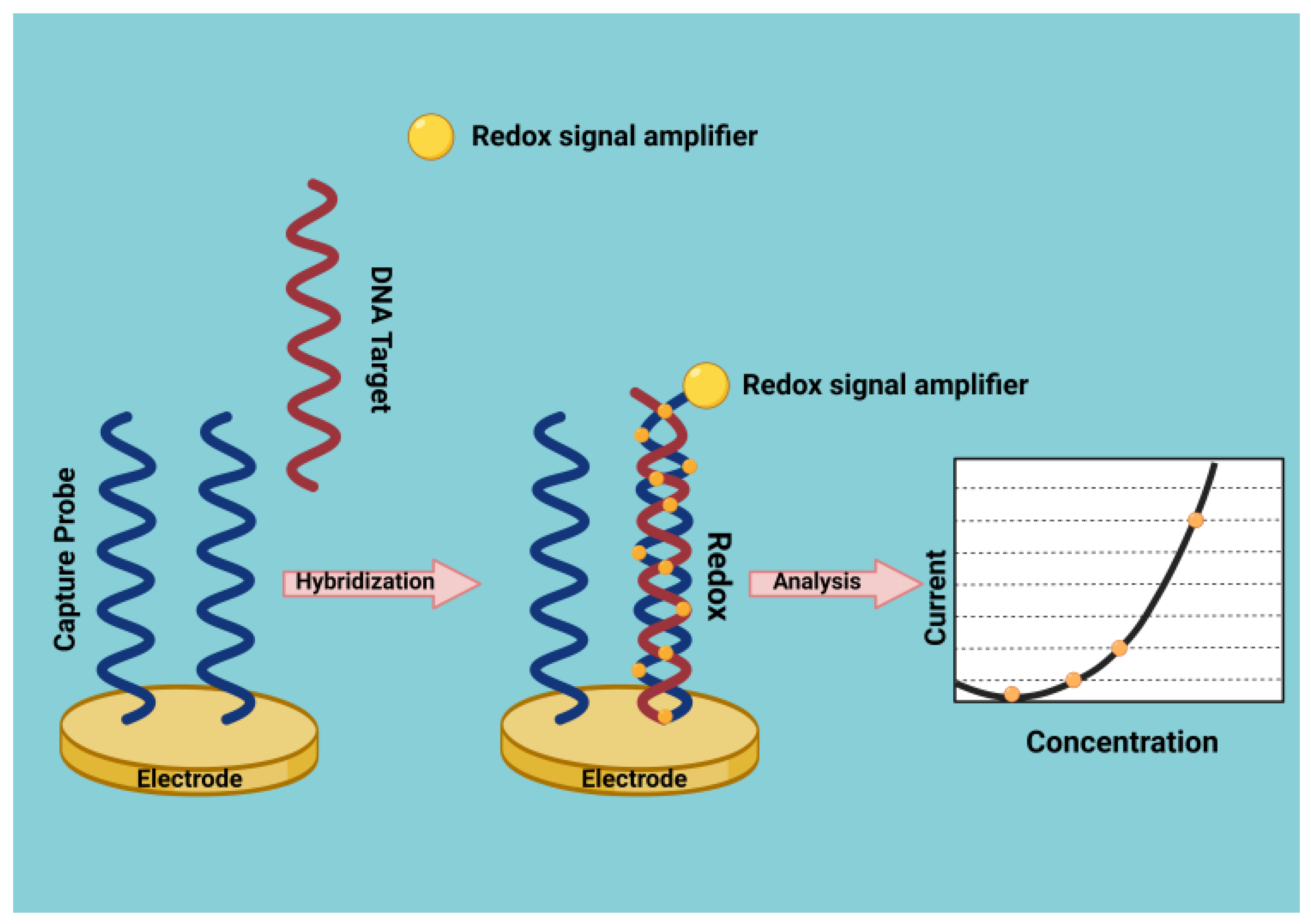 Cancers 15 00146 g001 Cancers 15 00146 g001