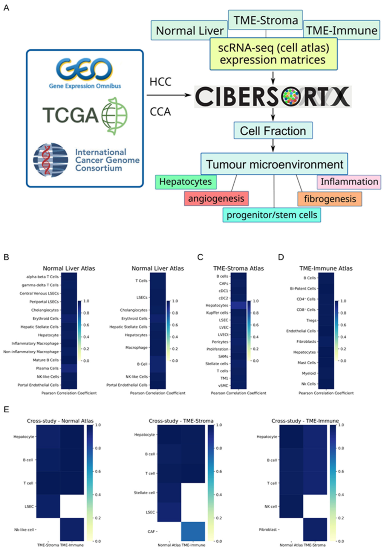 Cancers 15 00153 g001
