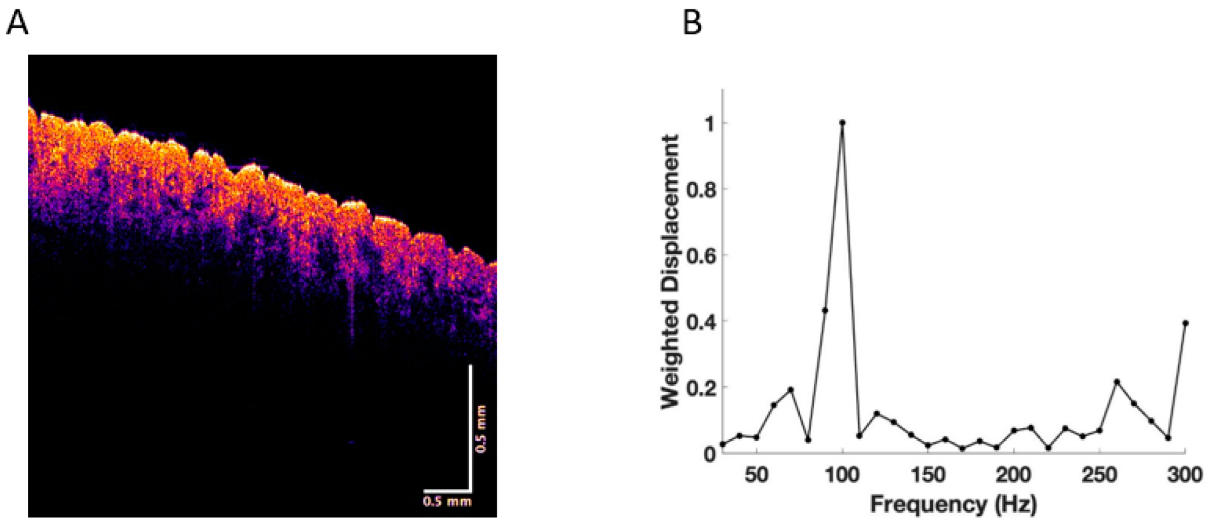 Cancers 15 00156 g001