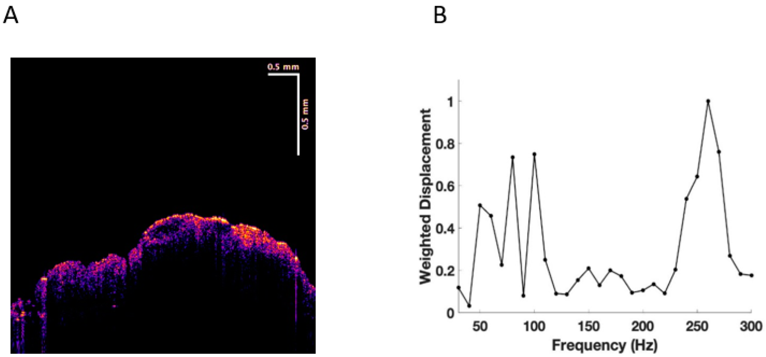 Cancers 15 00156 g002