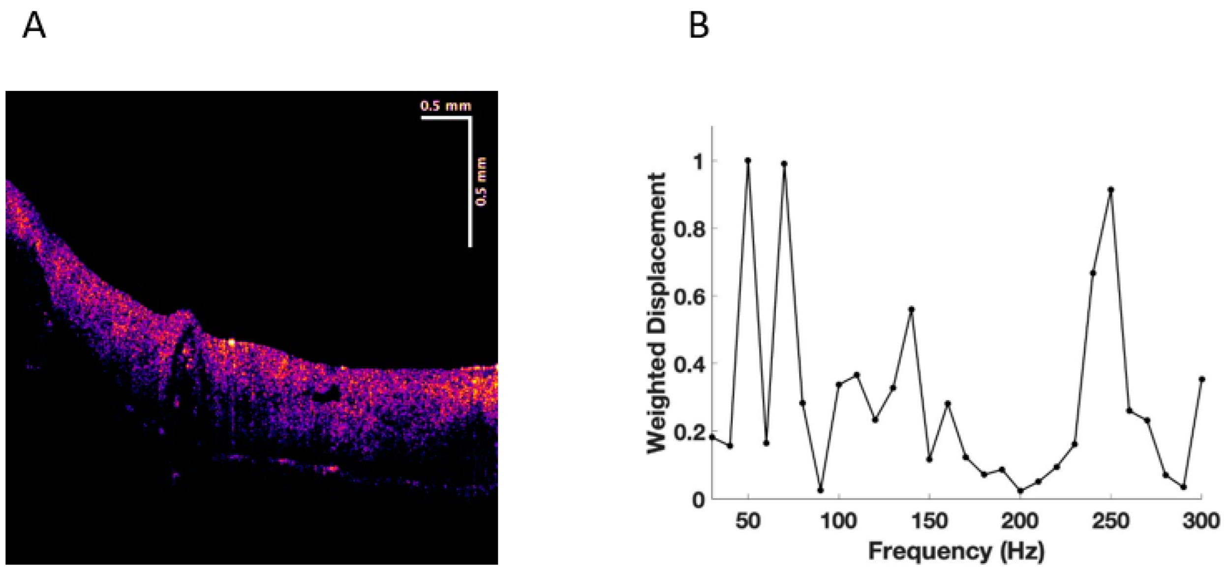 Cancers 15 00156 g003
