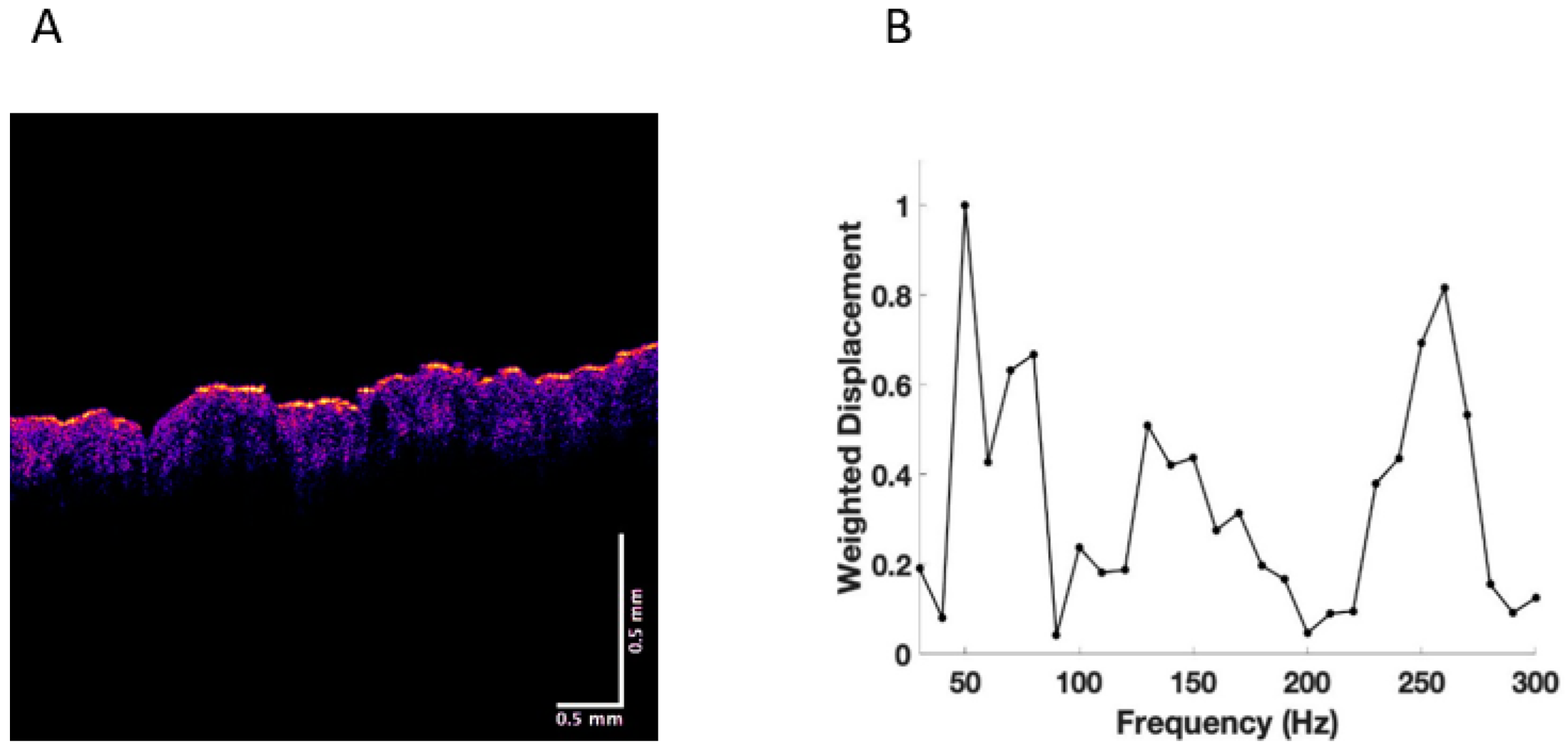 Cancers 15 00156 g004