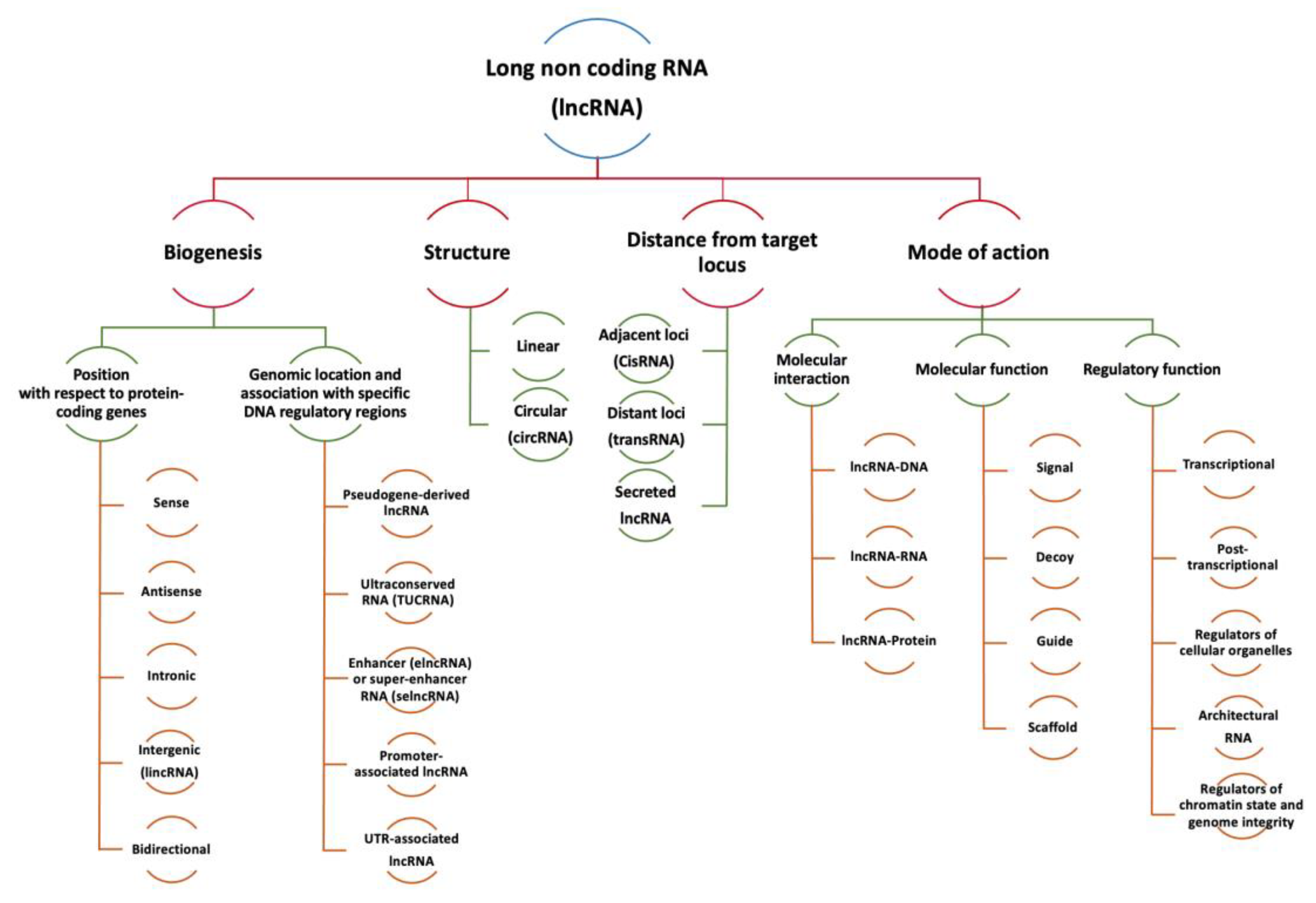 Cancers 15 00184 g003 Cancers 15 00184 g003