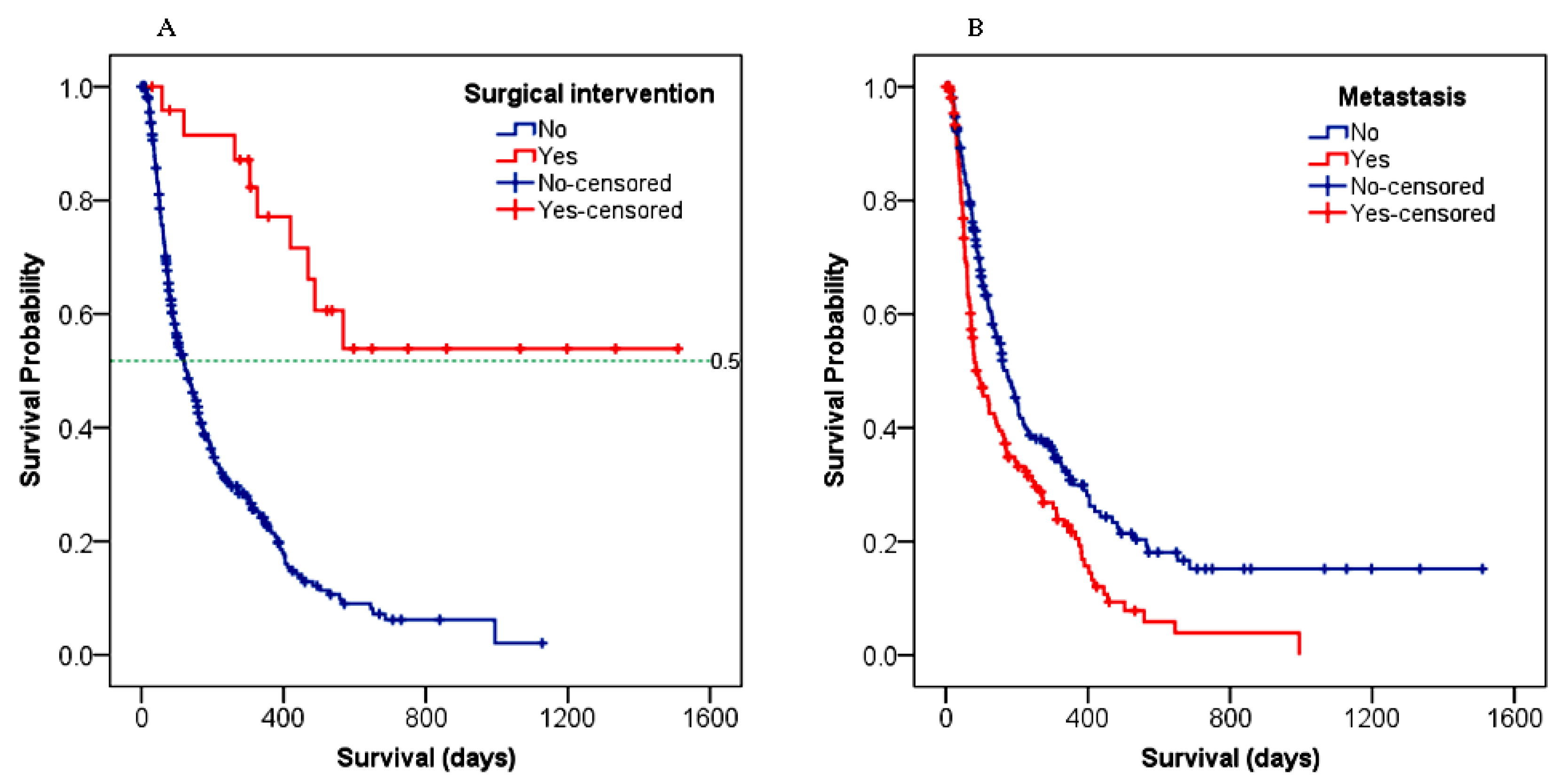 Cancers 15 00193 g005 Cancers 15 00193 g005