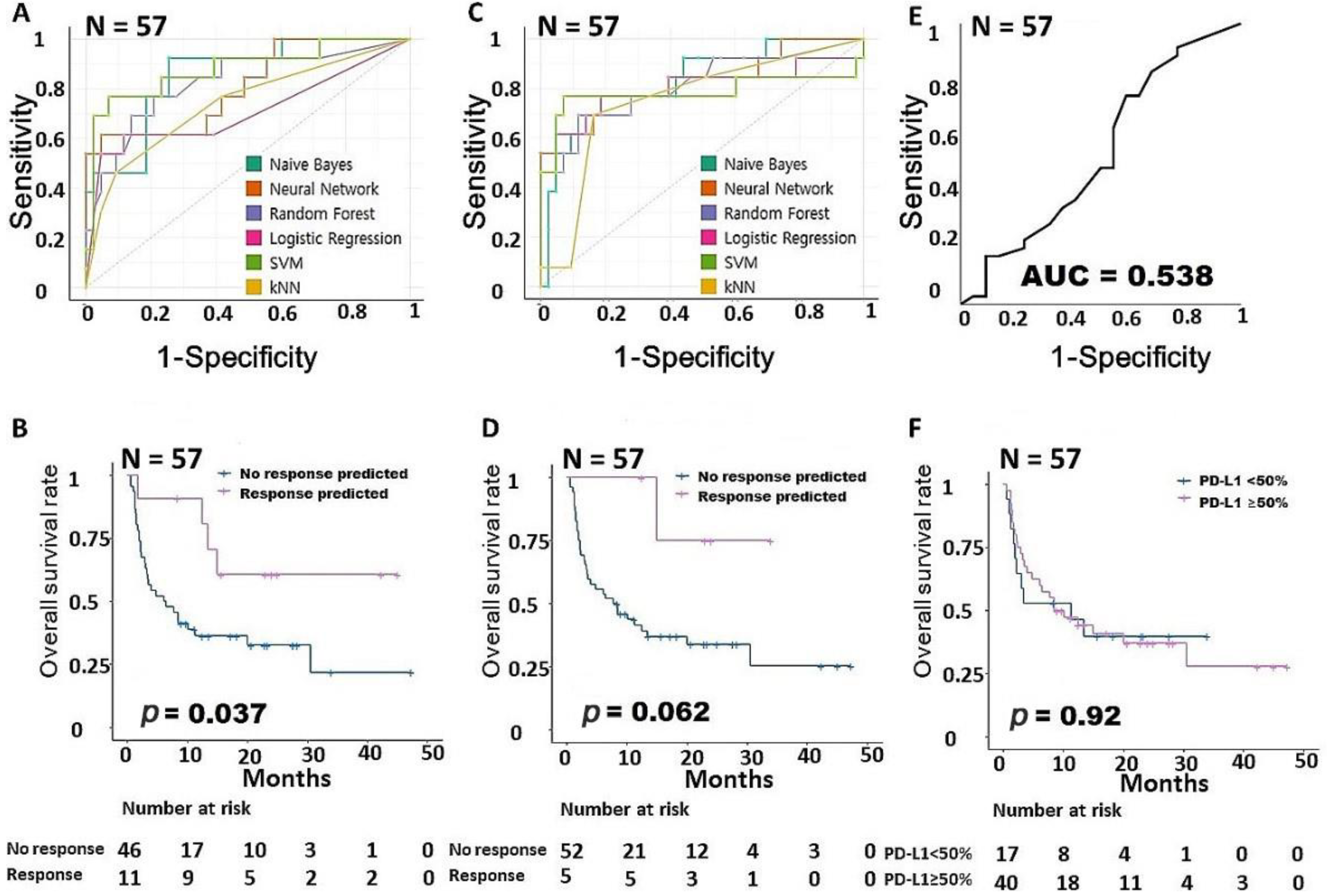 Cancers 15 00197 g001 Cancers 15 00197 g001