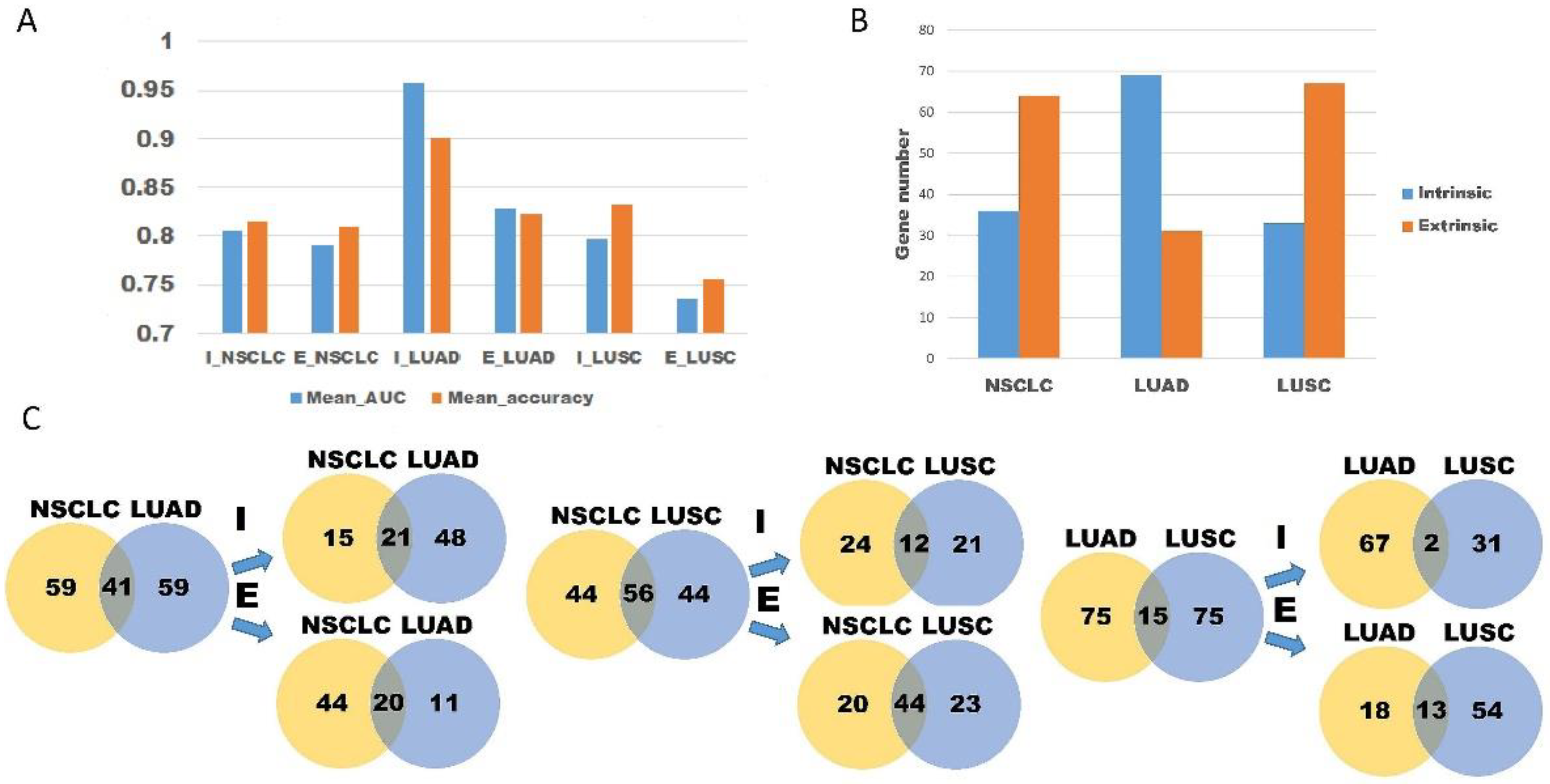 Cancers 15 00197 g005 Cancers 15 00197 g005