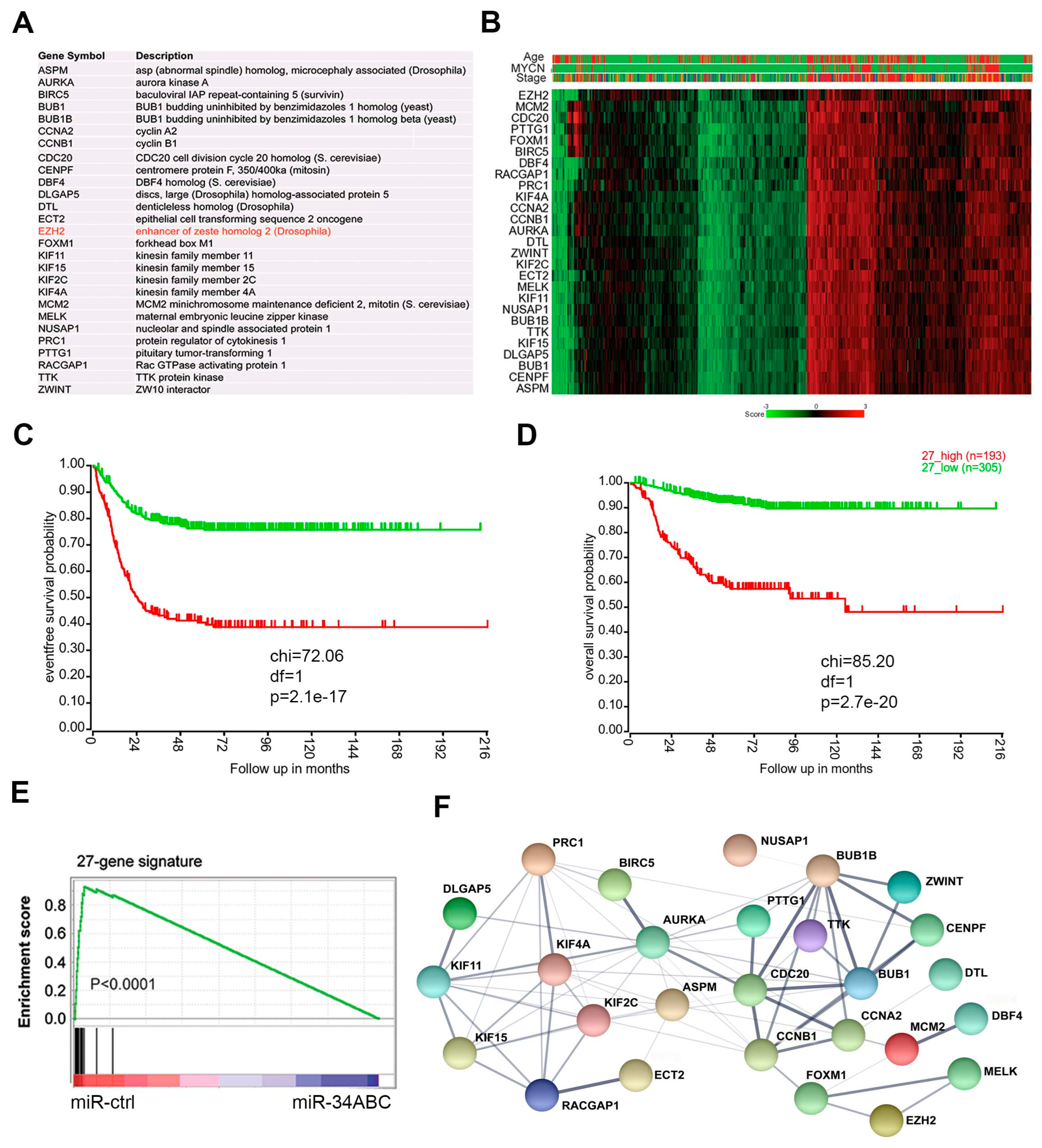 Cancers 15 00208 g002 Cancers 15 00208 g002
