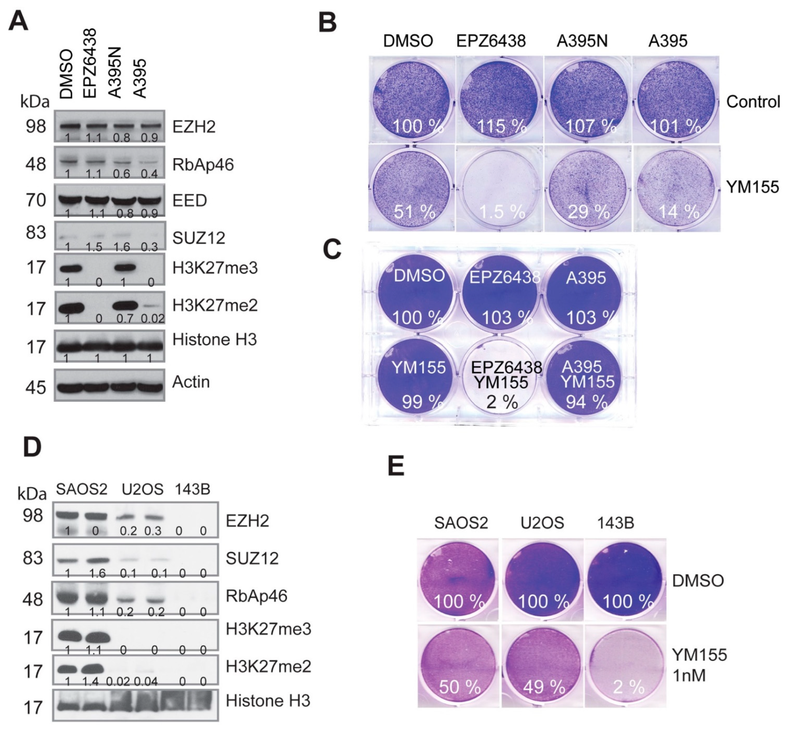 Cancers 15 00208 g004 Cancers 15 00208 g004