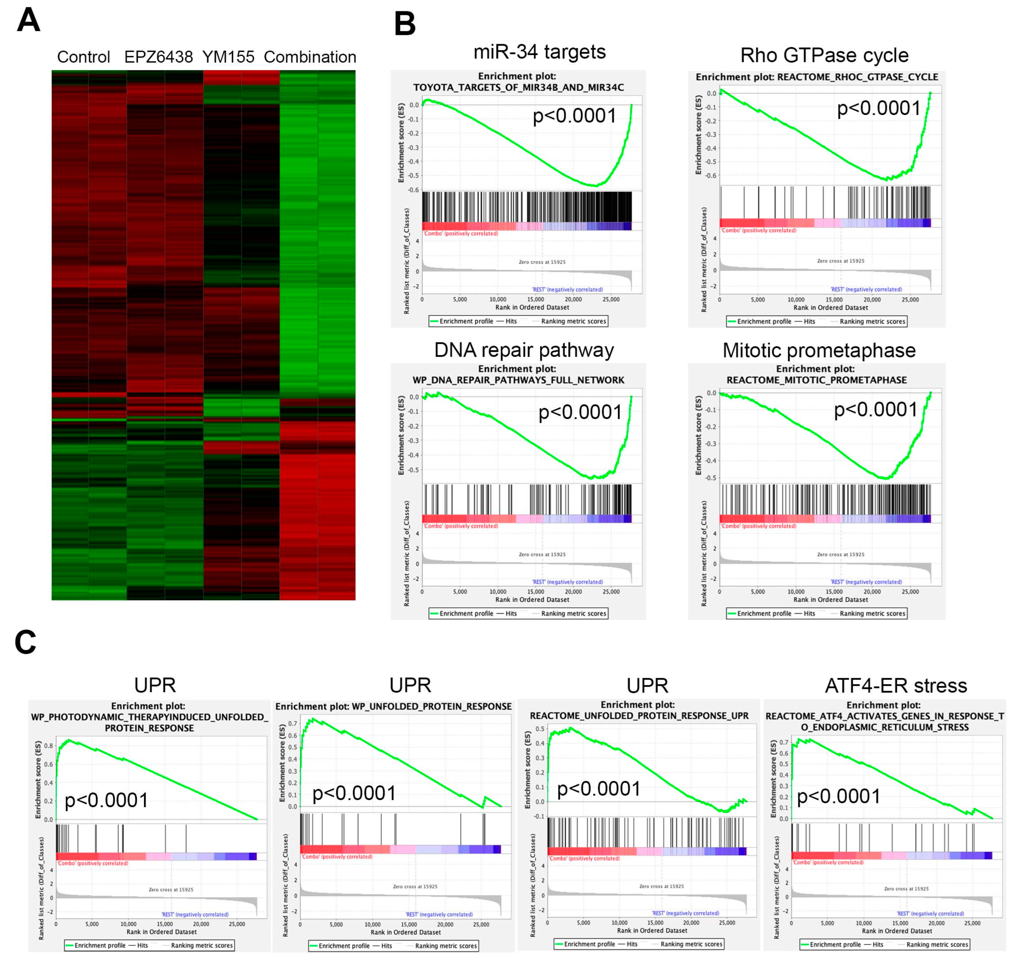 Cancers 15 00208 g005 Cancers 15 00208 g005
