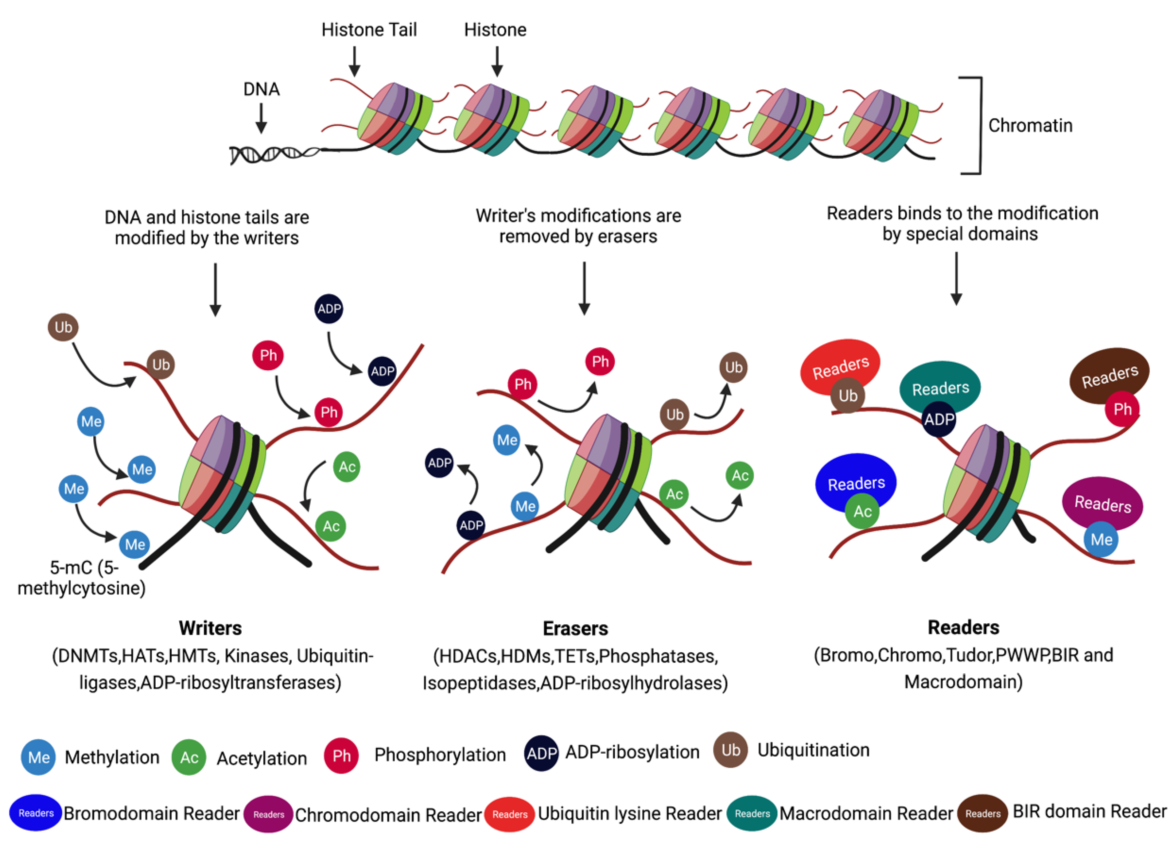 Cancers 15 00215 g002
