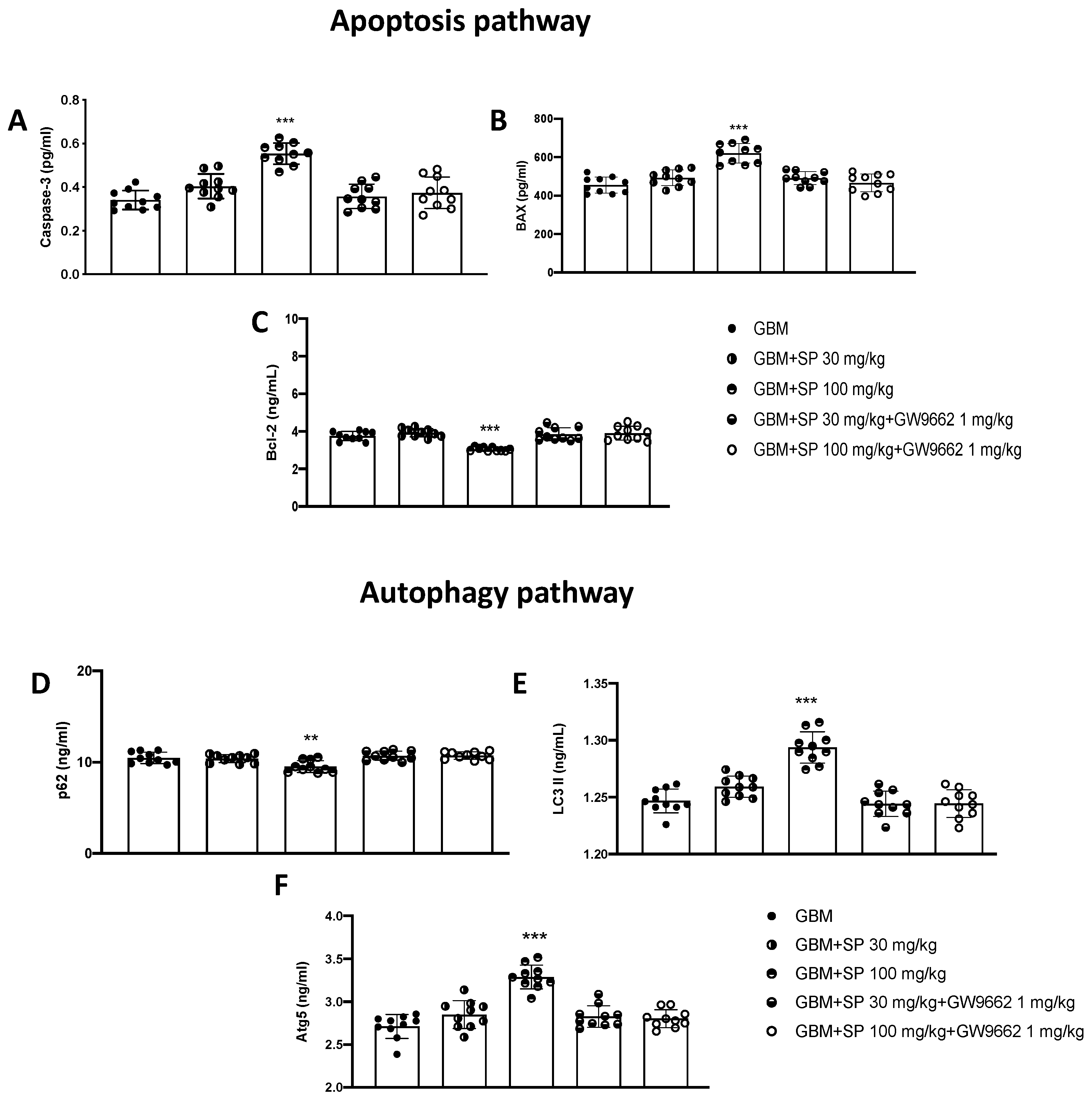Cancers 15 00217 g009 Cancers 15 00217 g009