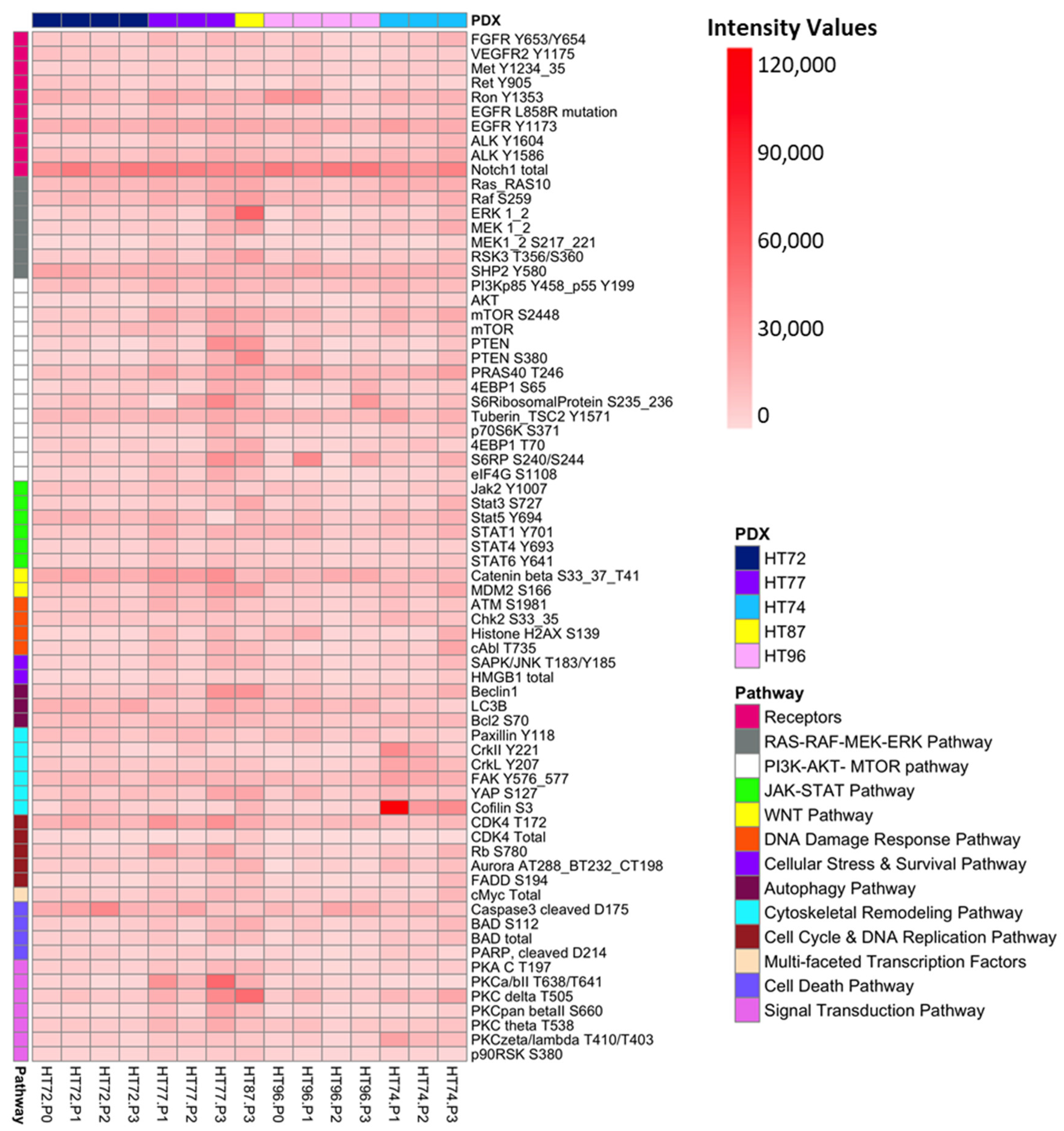 Cancers 15 00259 g014