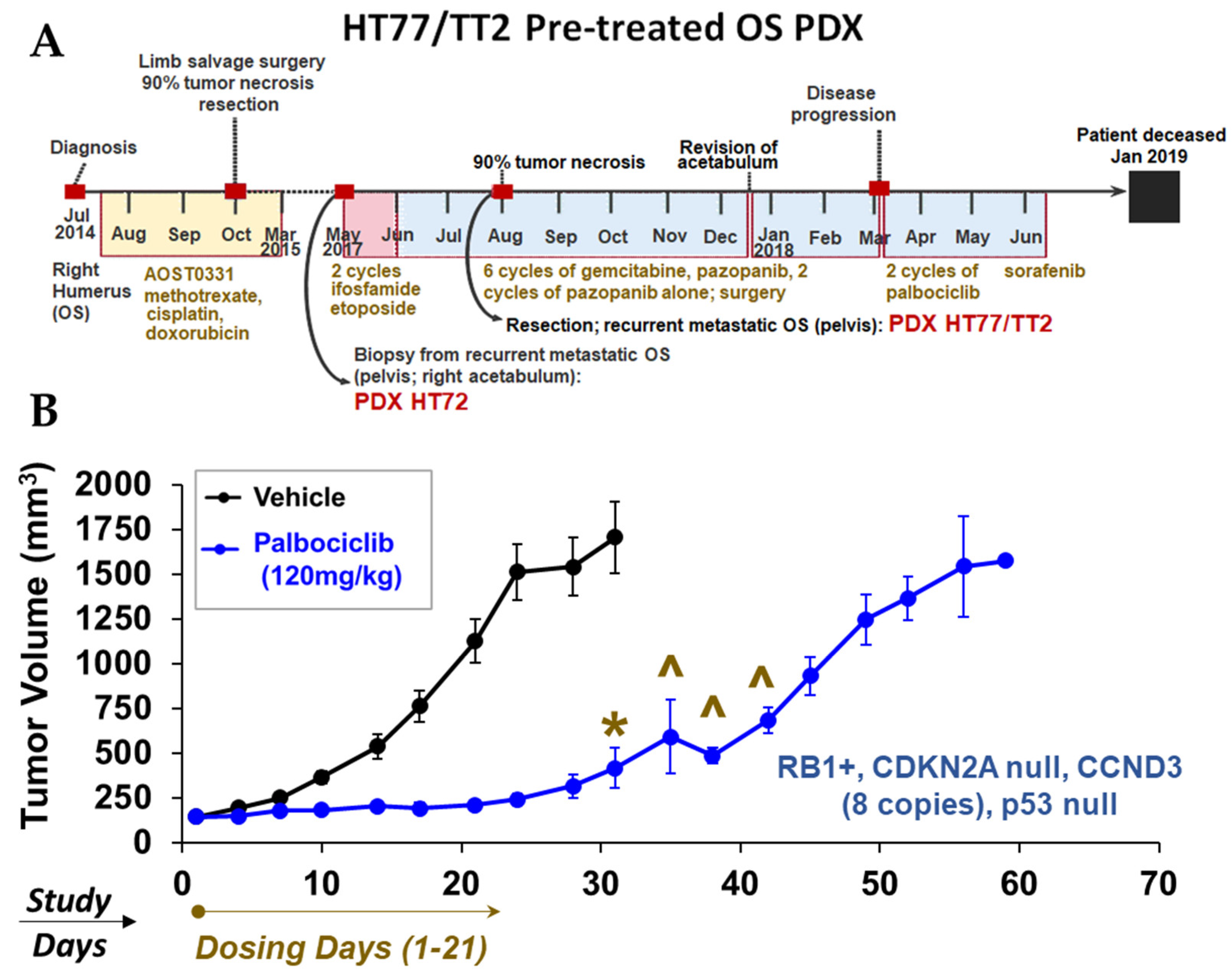 Cancers 15 00259 g016