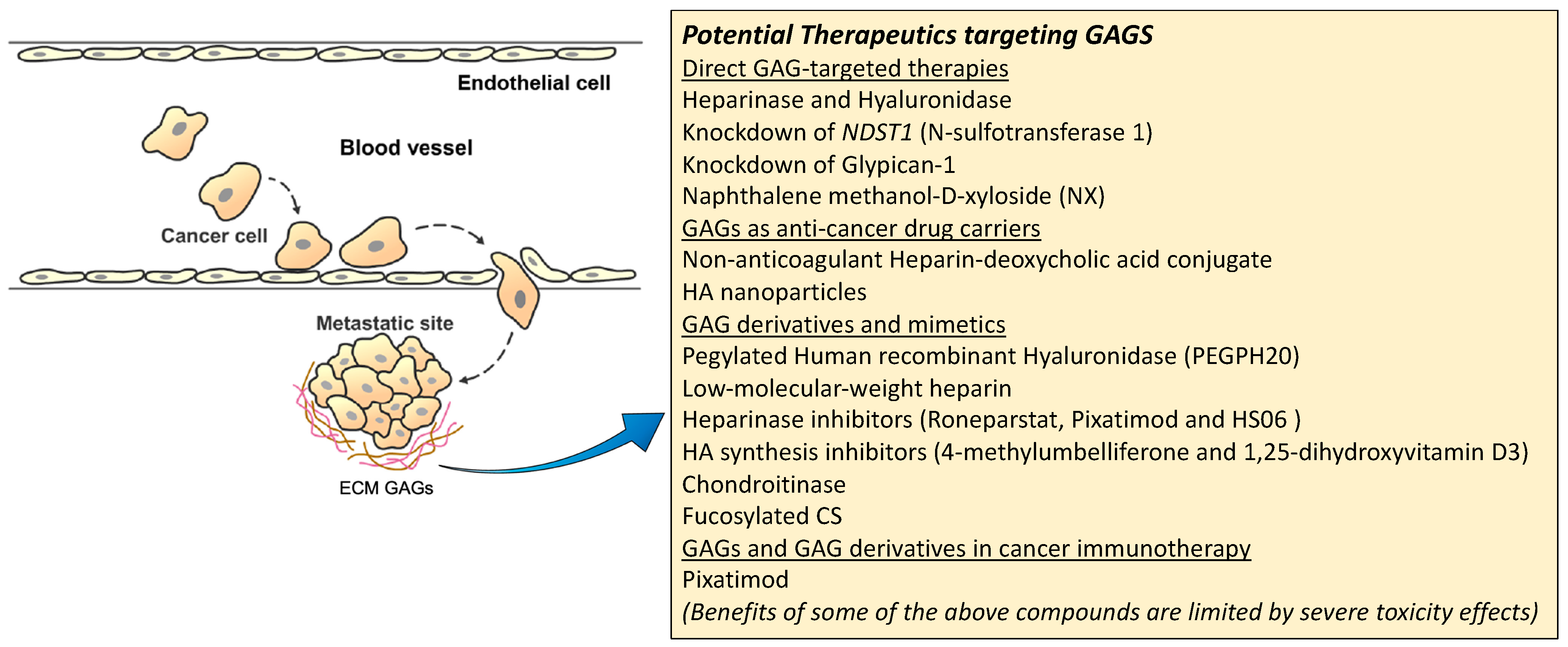 Cancers 15 00266 g003