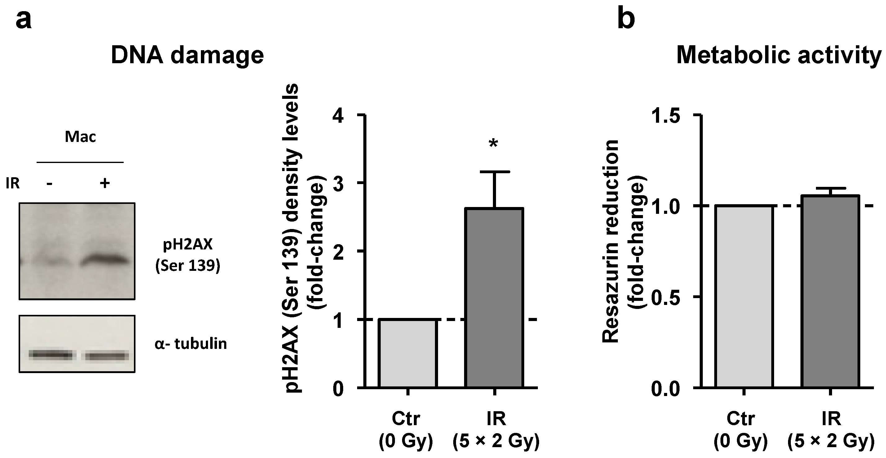 Cancers 15 00270 g001 Cancers 15 00270 g001