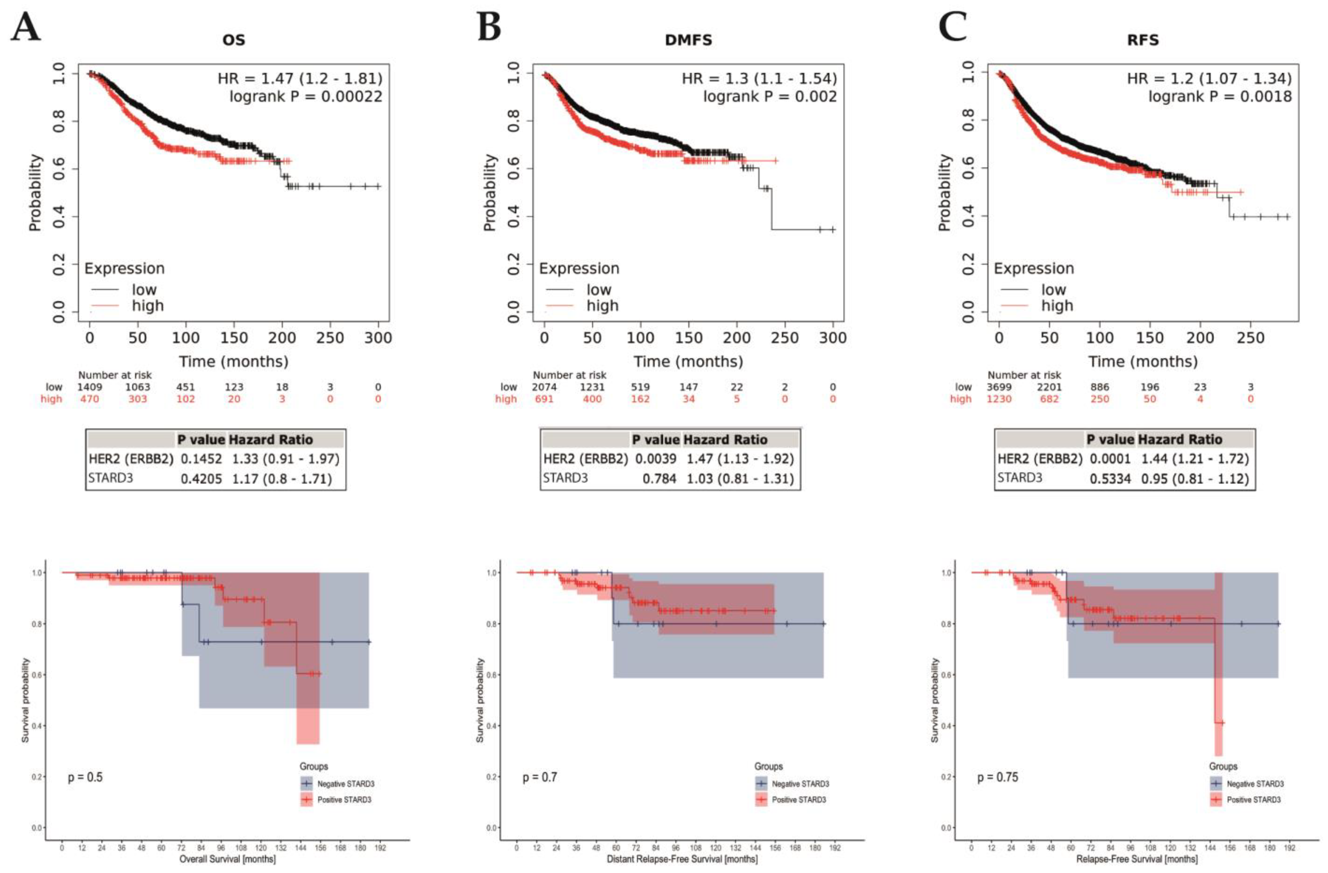 Cancers 15 00362 g006 Cancers 15 00362 g006