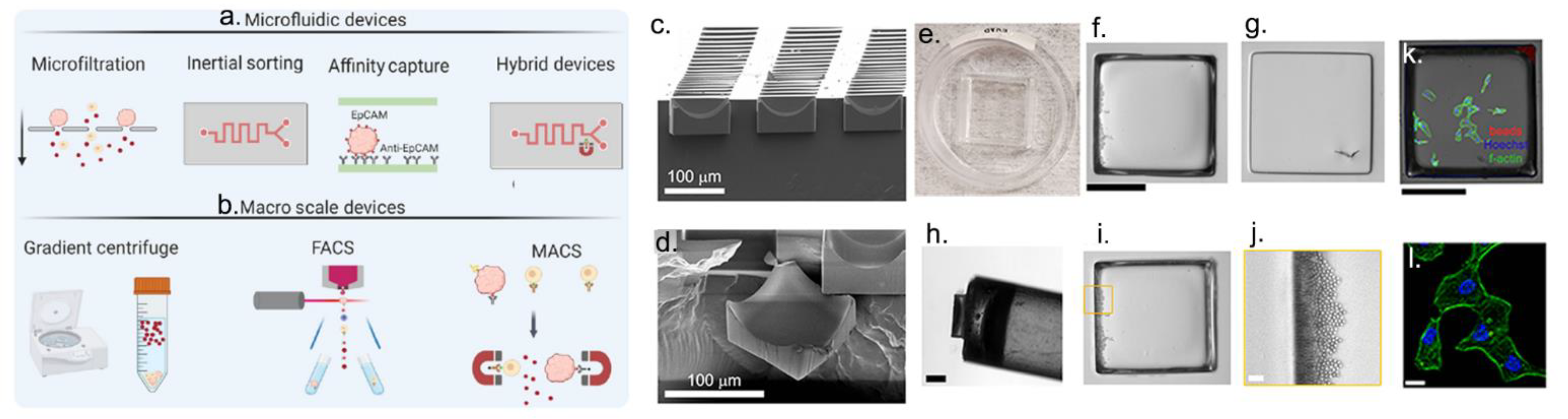 Cancers 15 00383 g001 Cancers 15 00383 g001